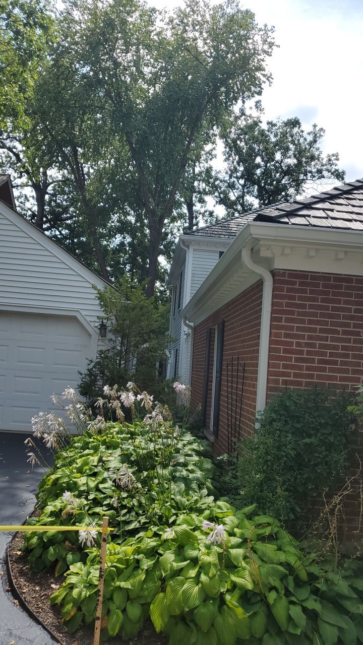 Housewashing  using Algaecide, soft wash soap by Northern Power Washing LLC.