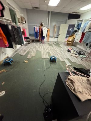 Commercial EMS Sewage Clean in Louisville, KY