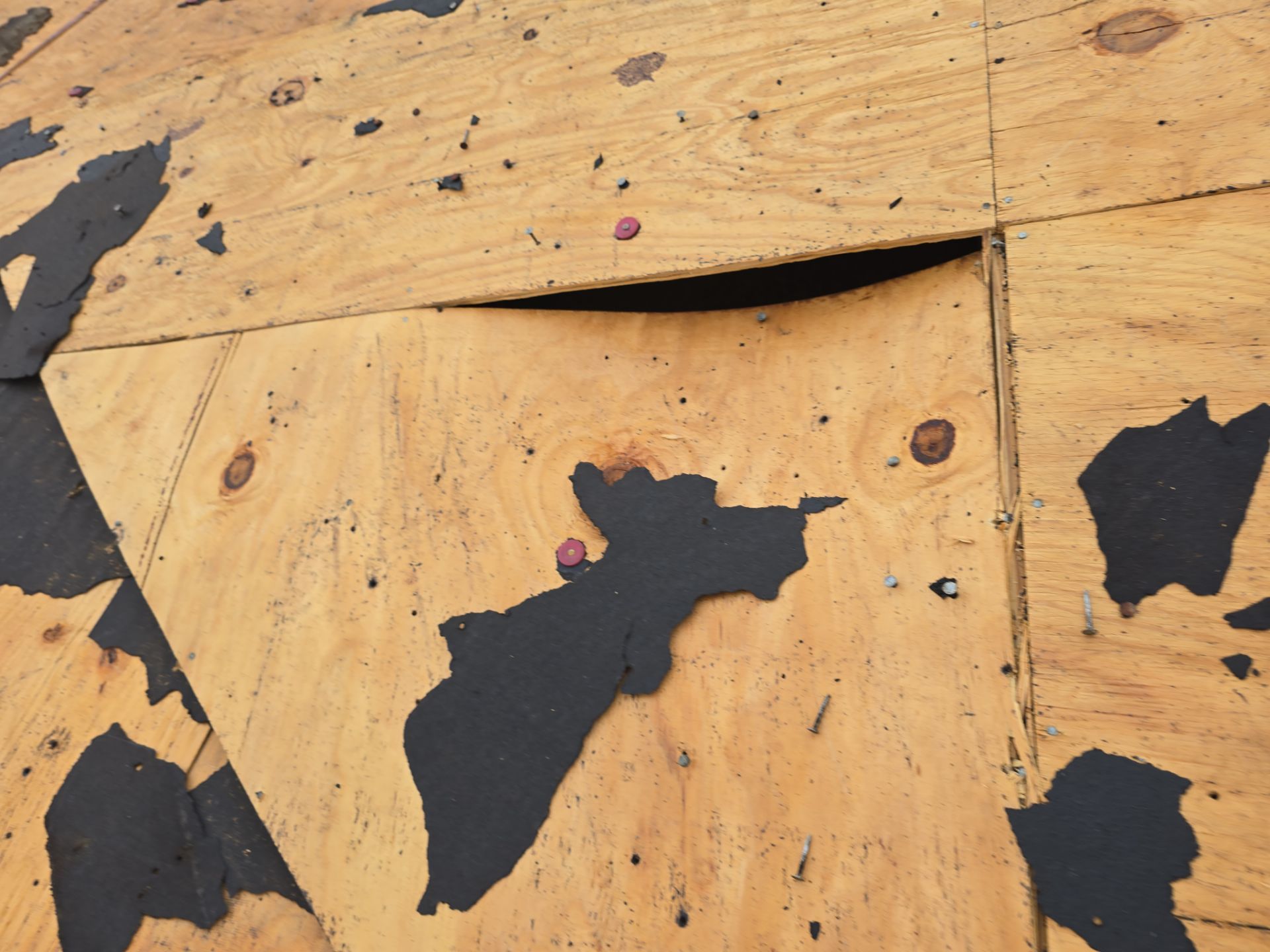 Roof Replacement Humble by Roof Repair Company
