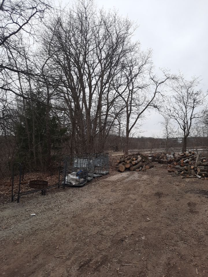 Tree Removal using Tree Removal by Mike Jones & Sons Tree Service LLC 