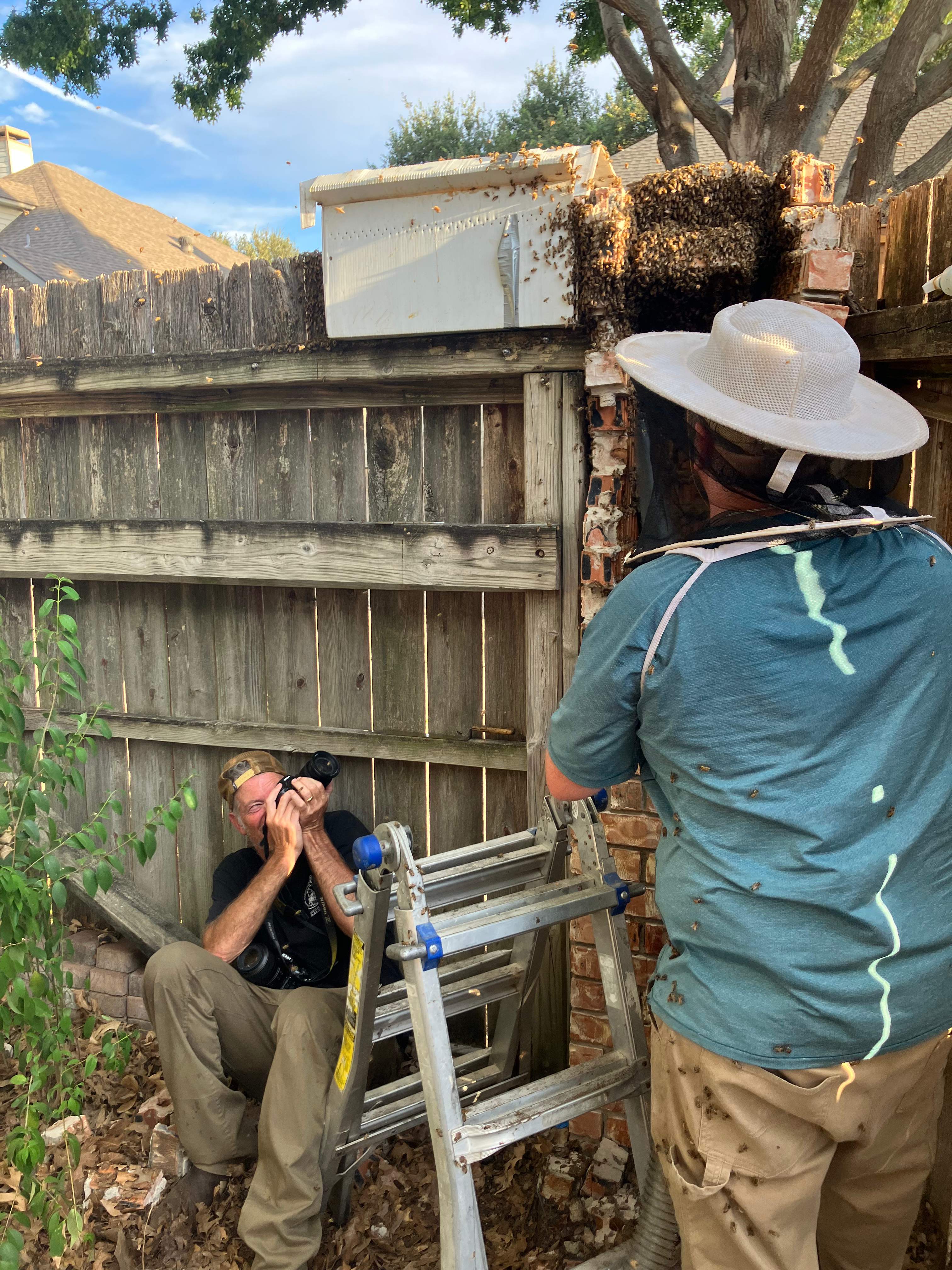 Brick Column by Rockwall Honey Bee Company