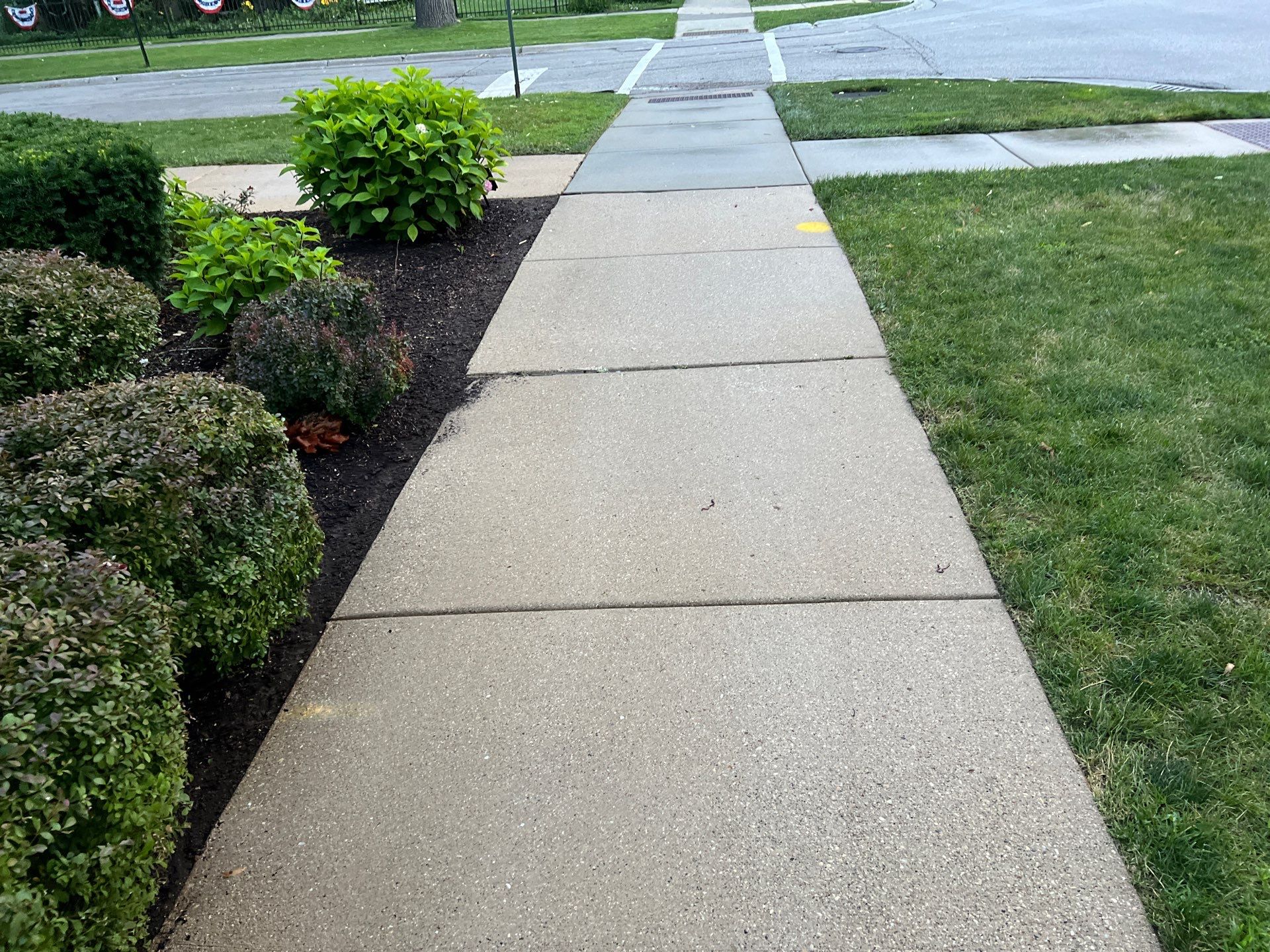 concrete cleaning using Algaecide, soft wash soap by Northern Power Washing LLC.