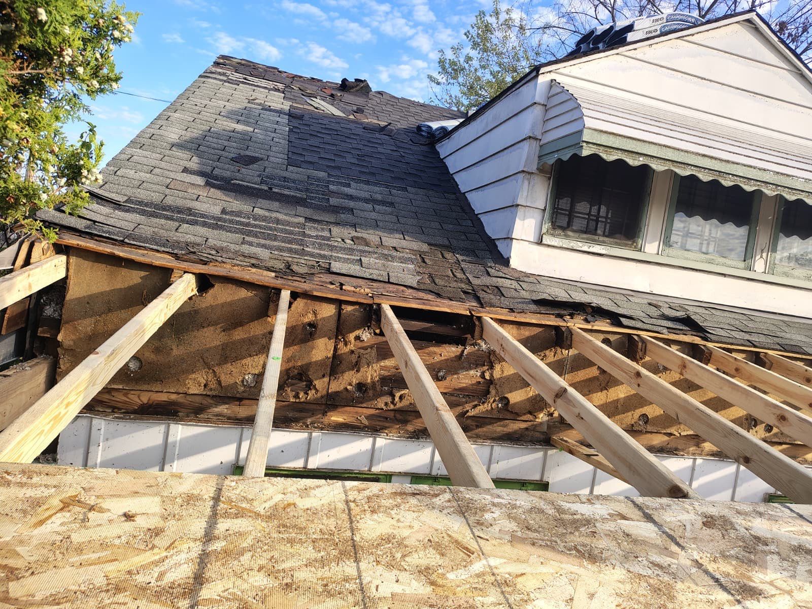 Roof/deck Rehab - Detroit  by Jones Cleaning Services