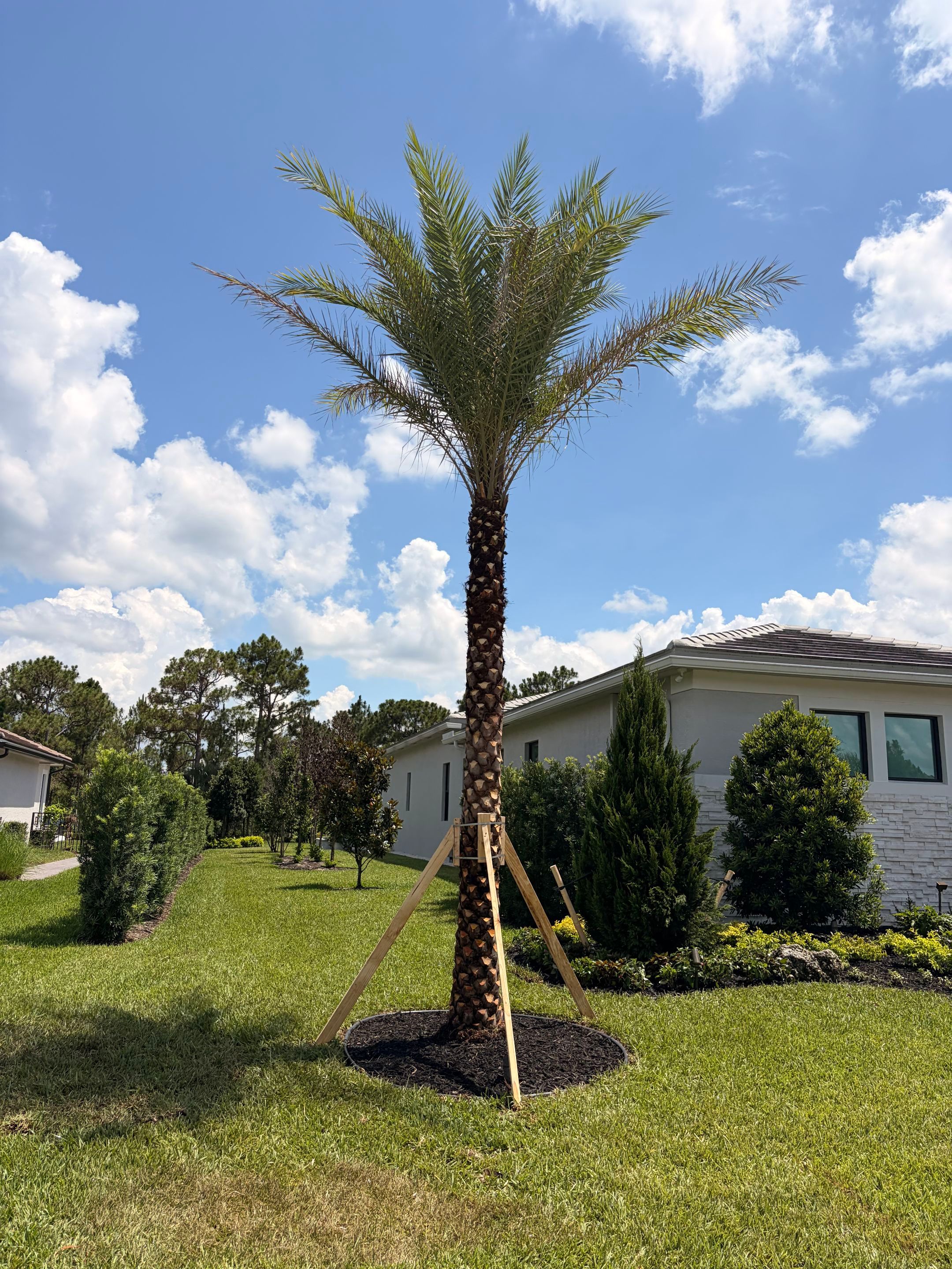 🌴✨ Canopy Creek Landscape Transformation! ✨🌿 by Alpha Zeta Enterprises Inc