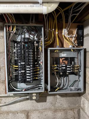 Dual Electrical Service Panel Installation and Circuit Wiring in Minneapolis