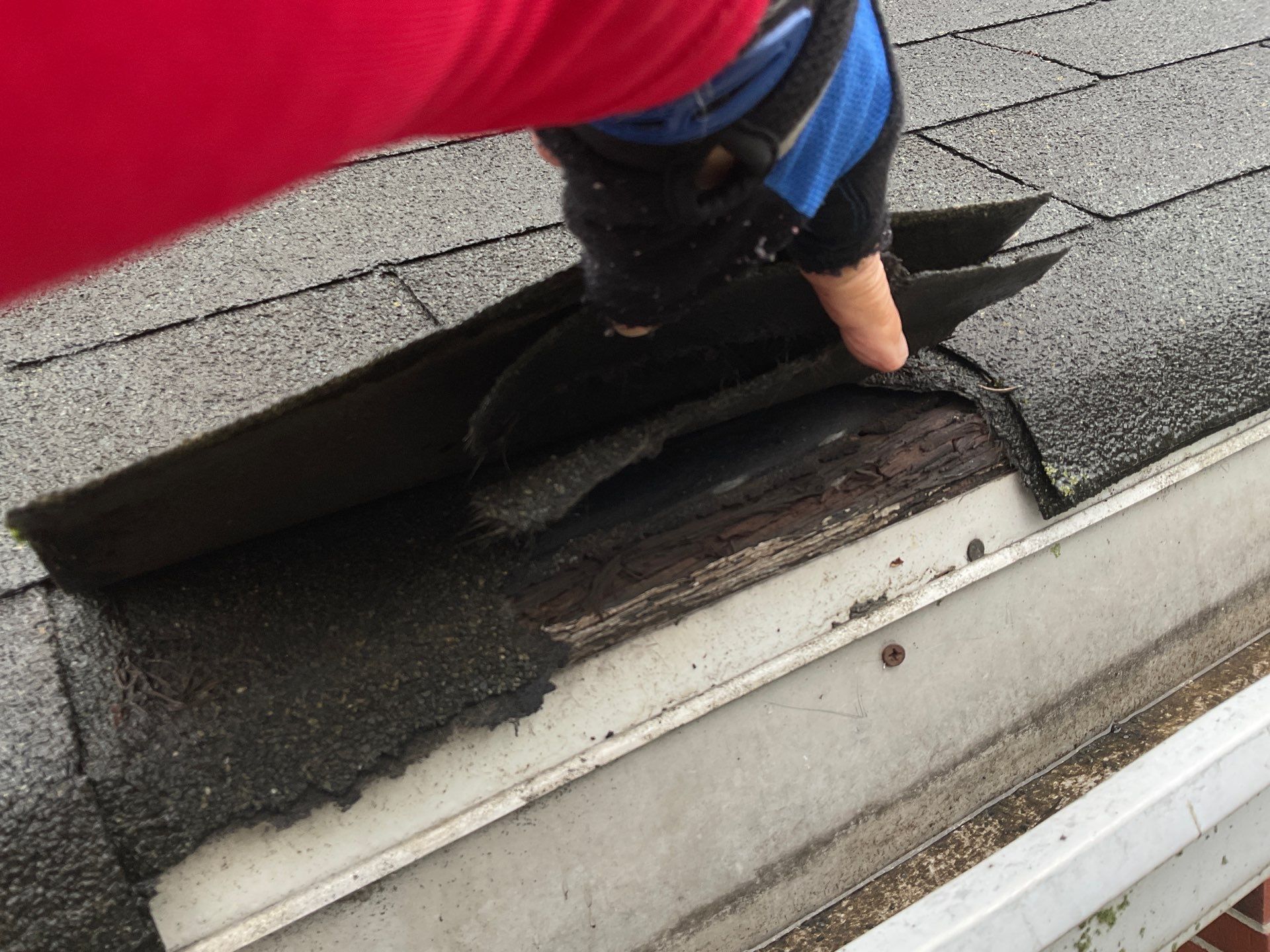 Roof Replace Porch by Alpha Design Services