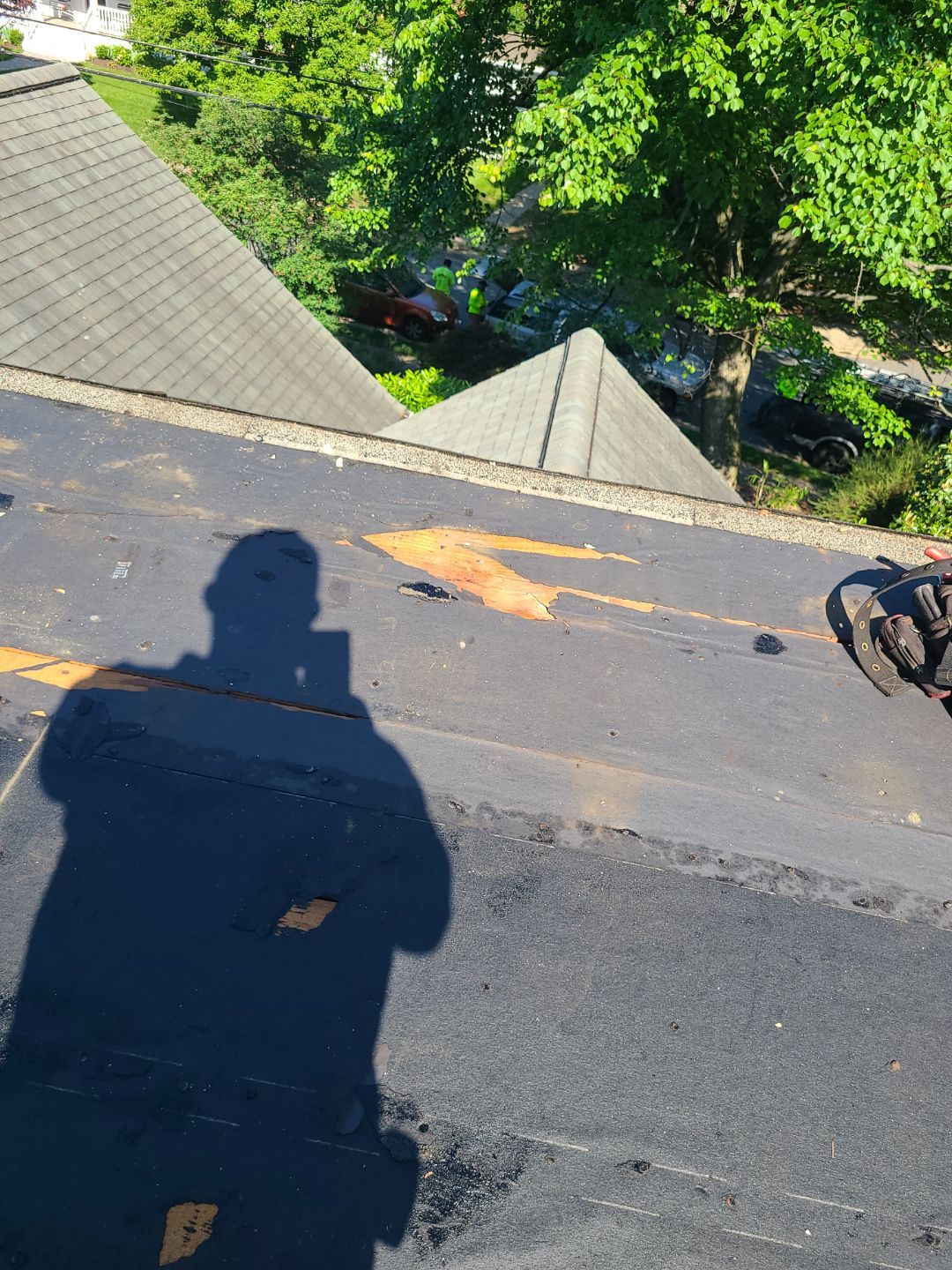 Alexandria: Mule Hide TPO Flat Roof by RM Banning, Inc.