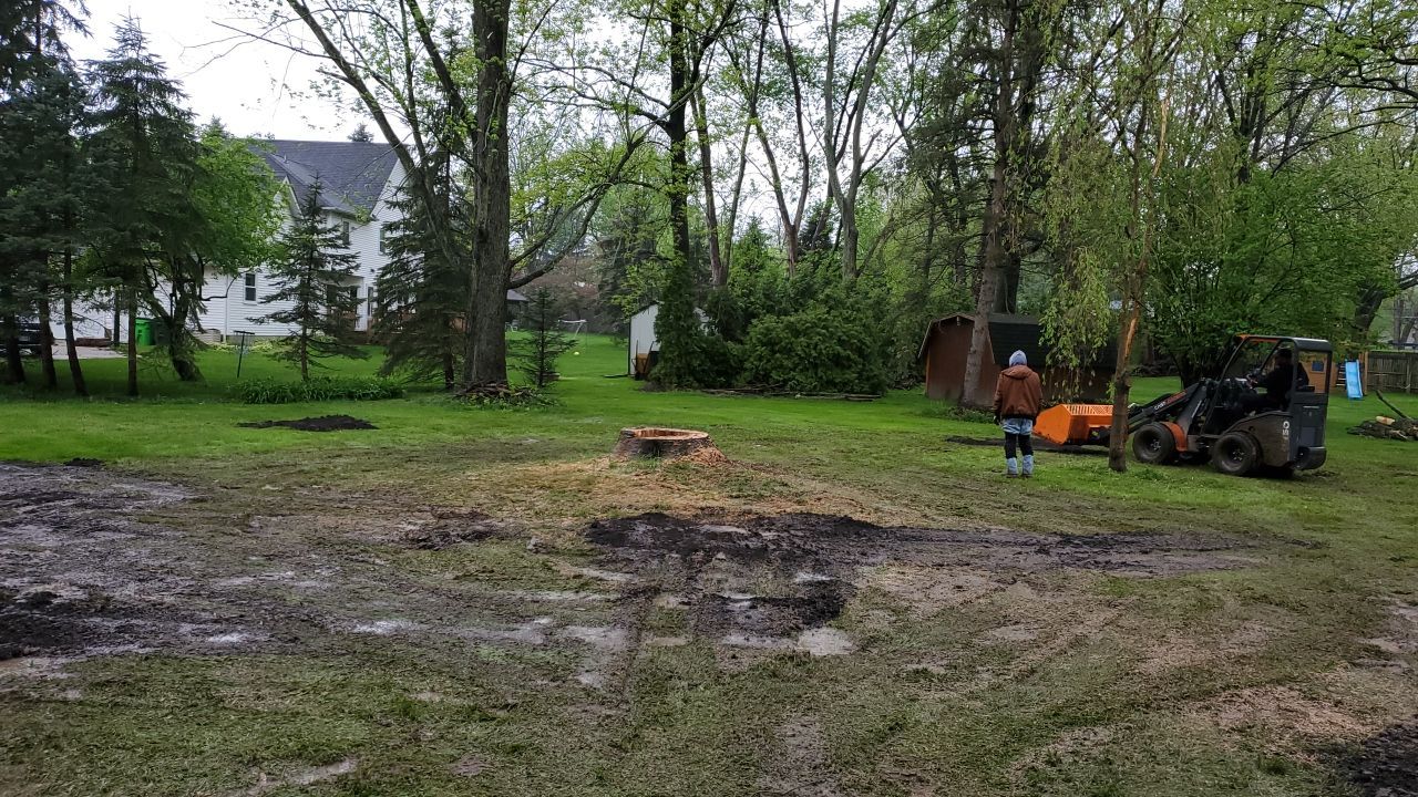 Tree Removal using Tree Removal by Mike Jones & Sons Tree Service LLC 