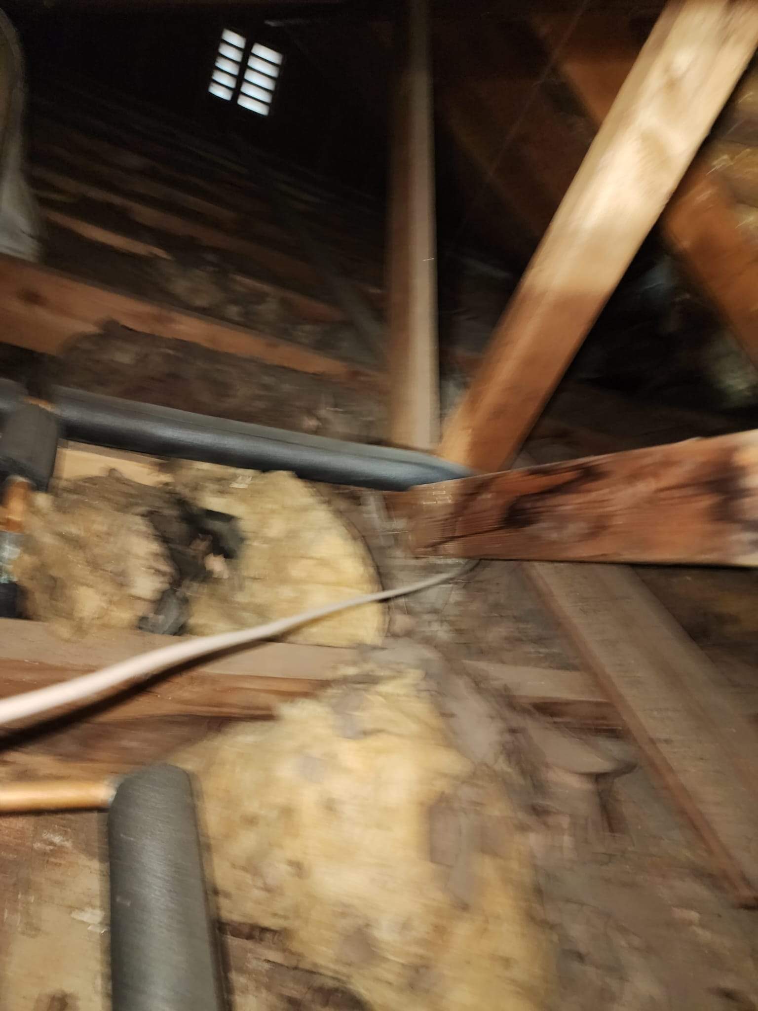 Project by Advanced Attic Solutions by Advanced Attic Solutions