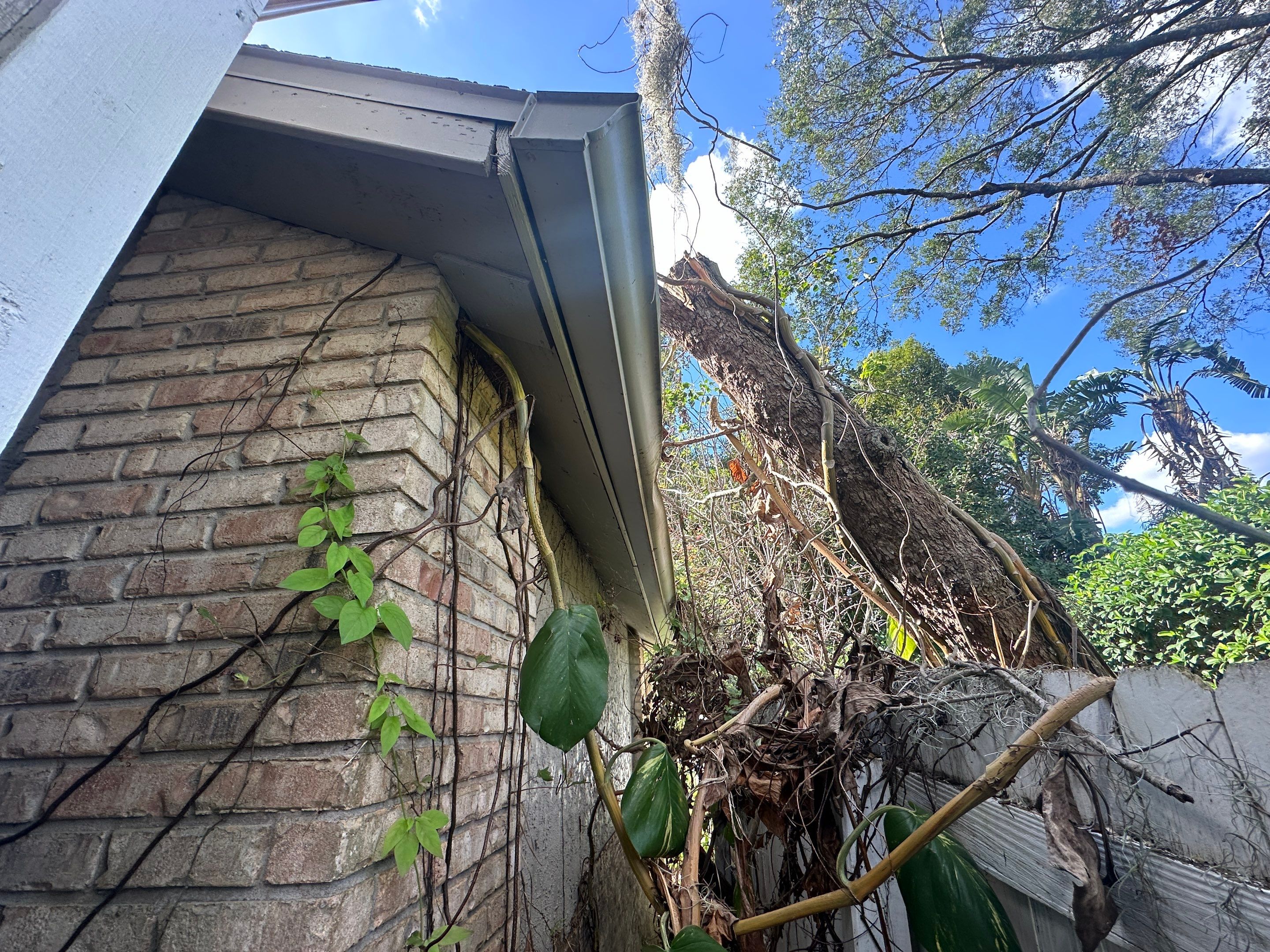 Water Damage Claim in Lutz by FLAPA & KeyStone