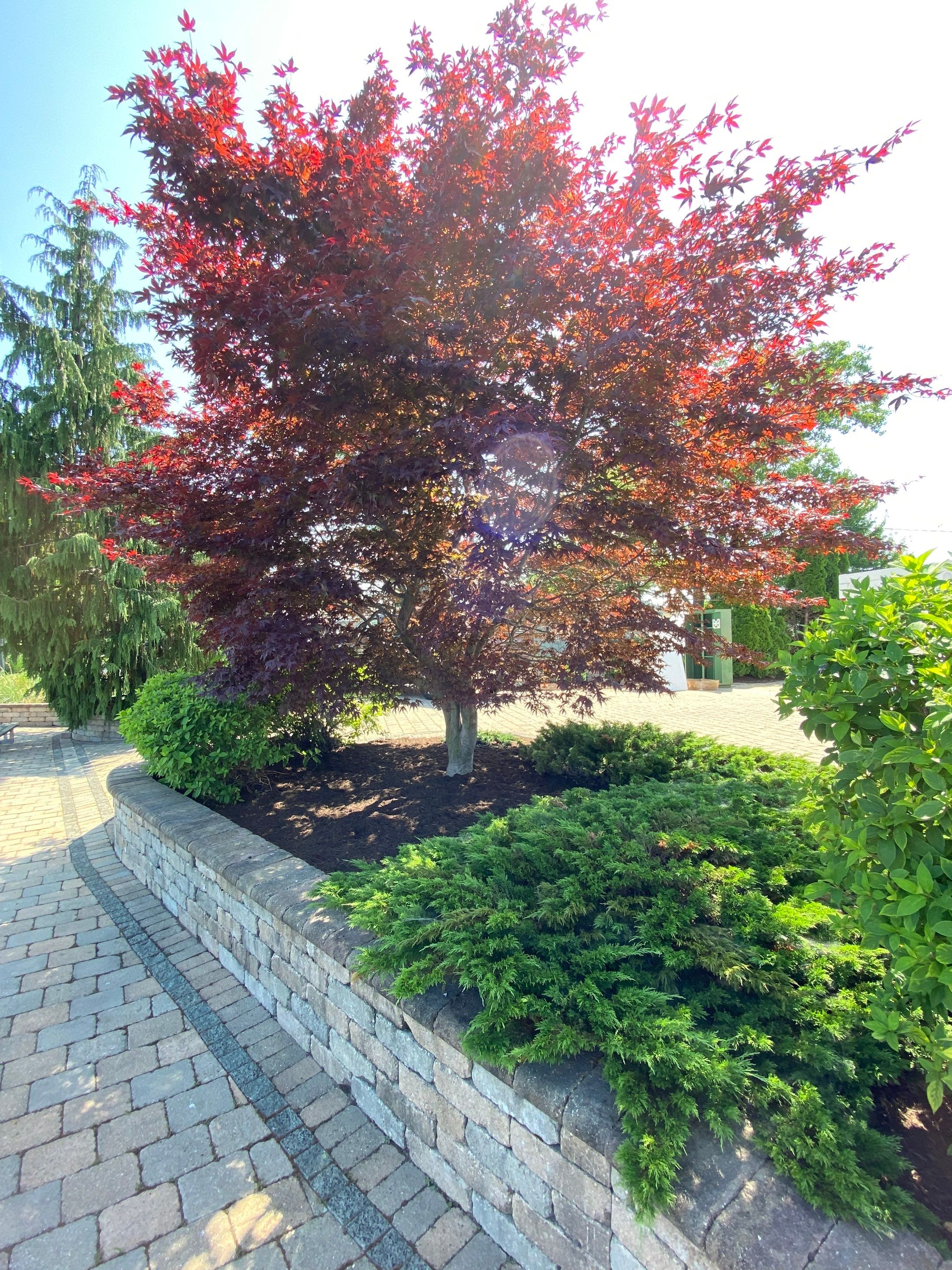 Lake House Maintenance by Elm Rose Gardens