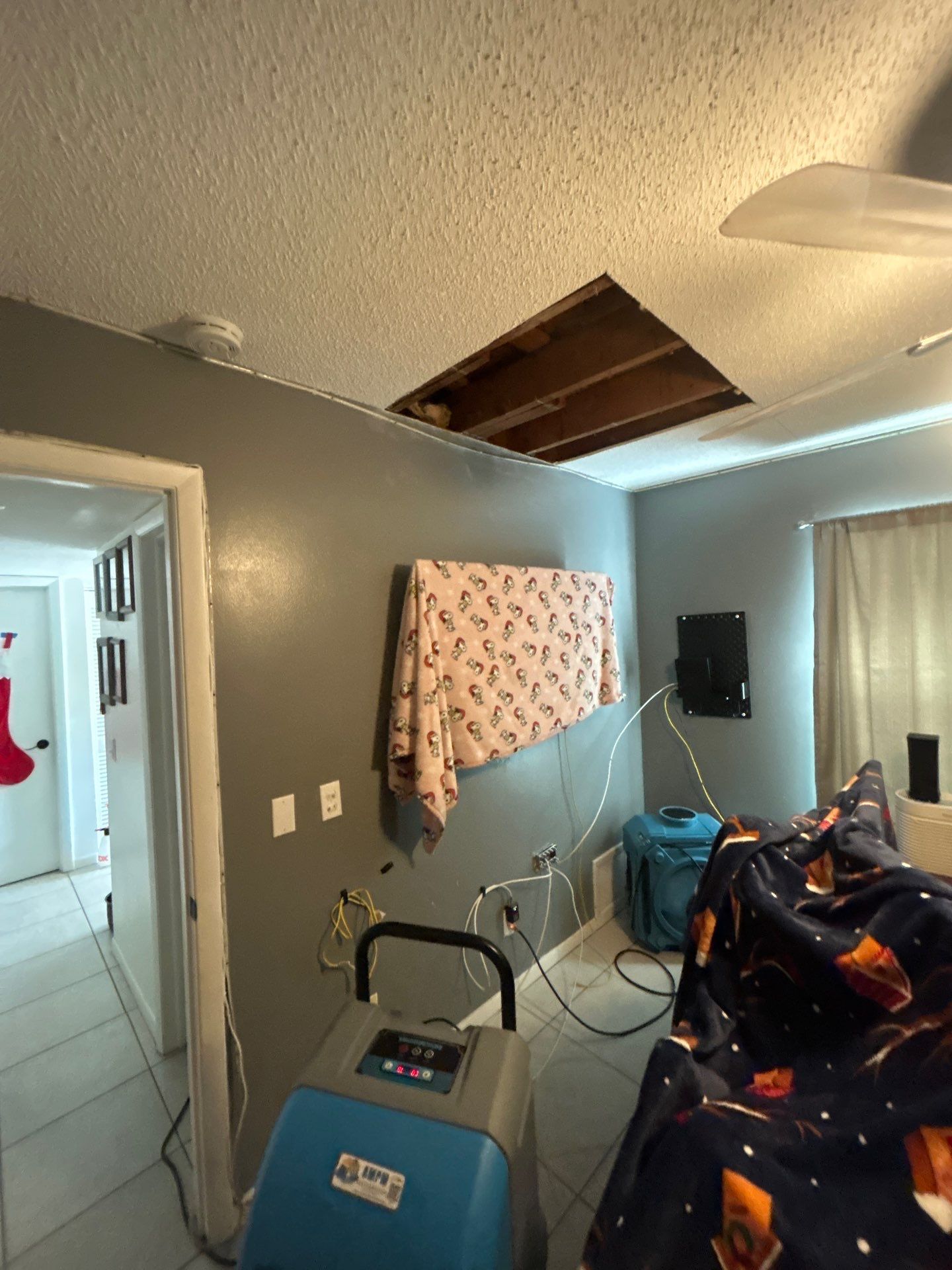 Pebble Springs Water Mold by Ampm Restoration Services