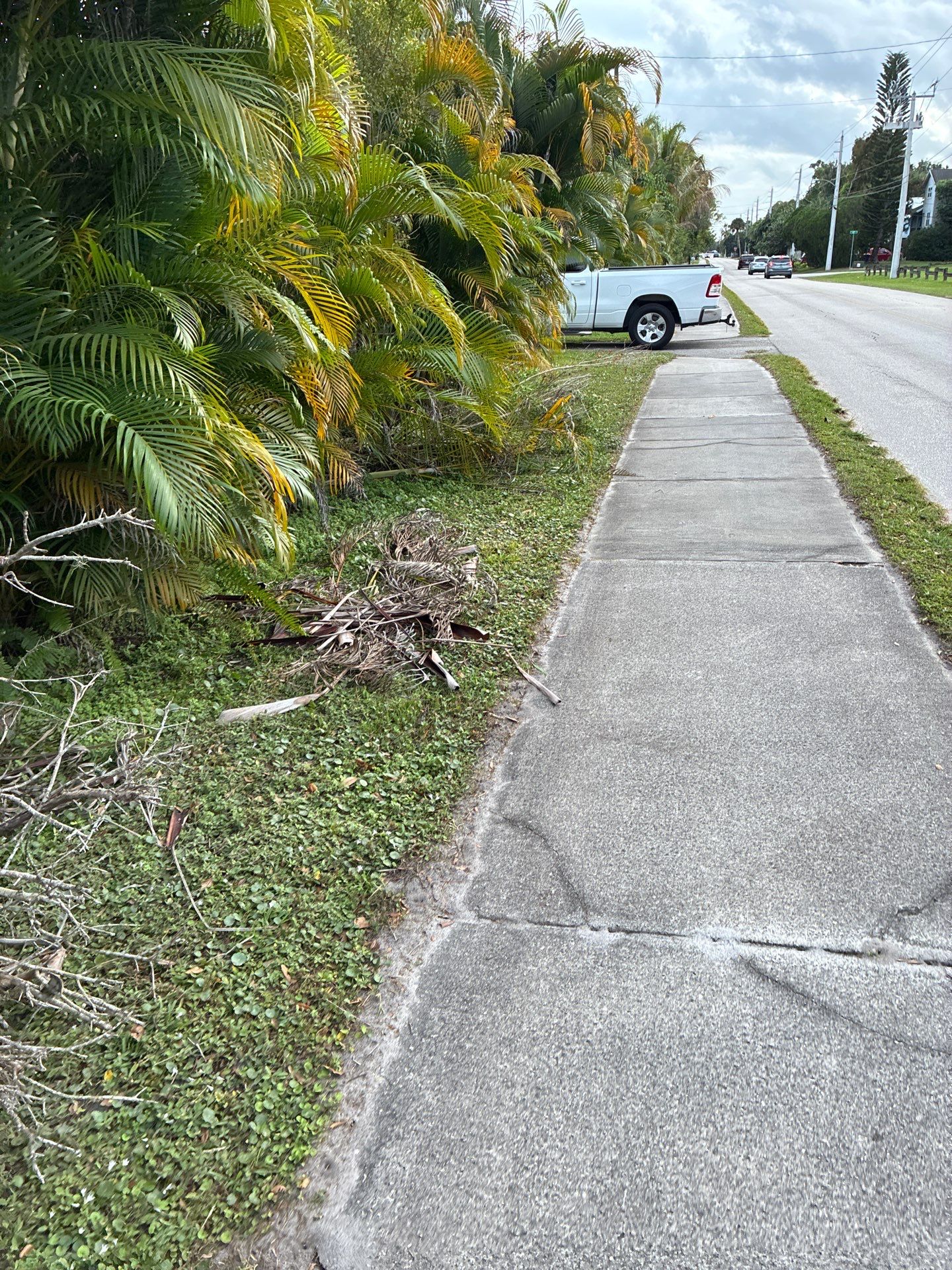 🏡 Pre-Sale Property Cleanup in Old Palm City, FL by Alpha Zeta Enterprises Inc