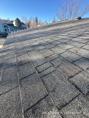 Richland Residential Roof Replacement and Plywood Decking Repair