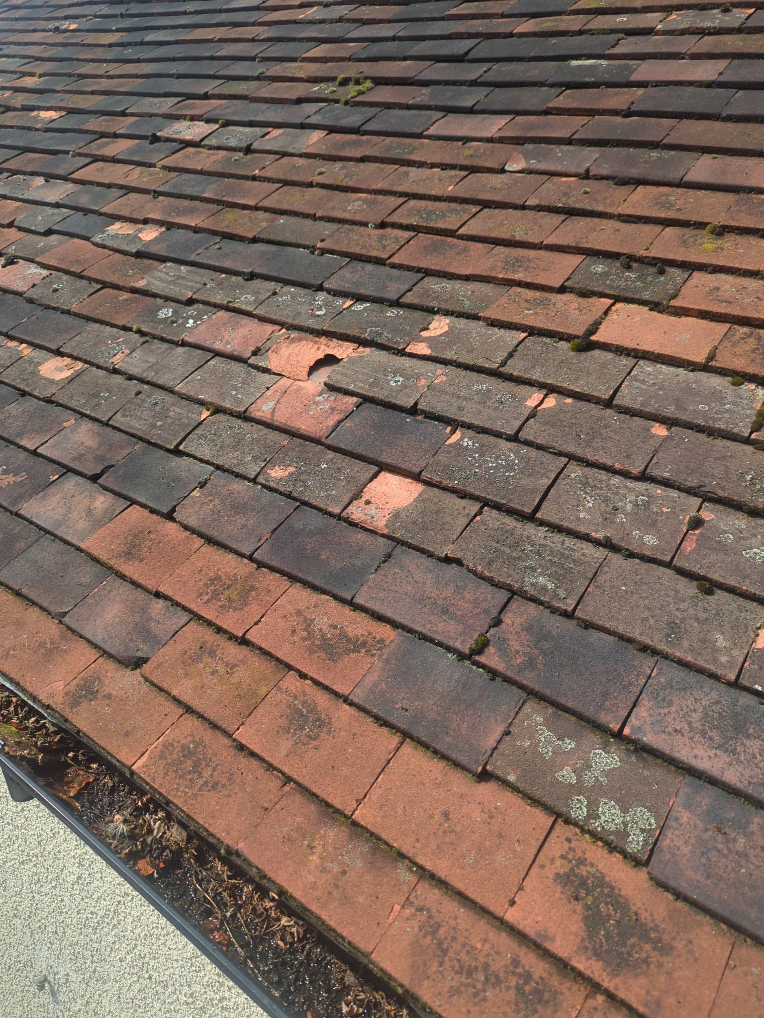 Roof Clean - Biocide Treatment using Honda 15lpm Low Pressure Washing Machine by Ges Exterior Cleaning ltd
