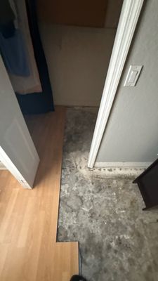 Appliance Leak Cleanup — Marco Island, FL