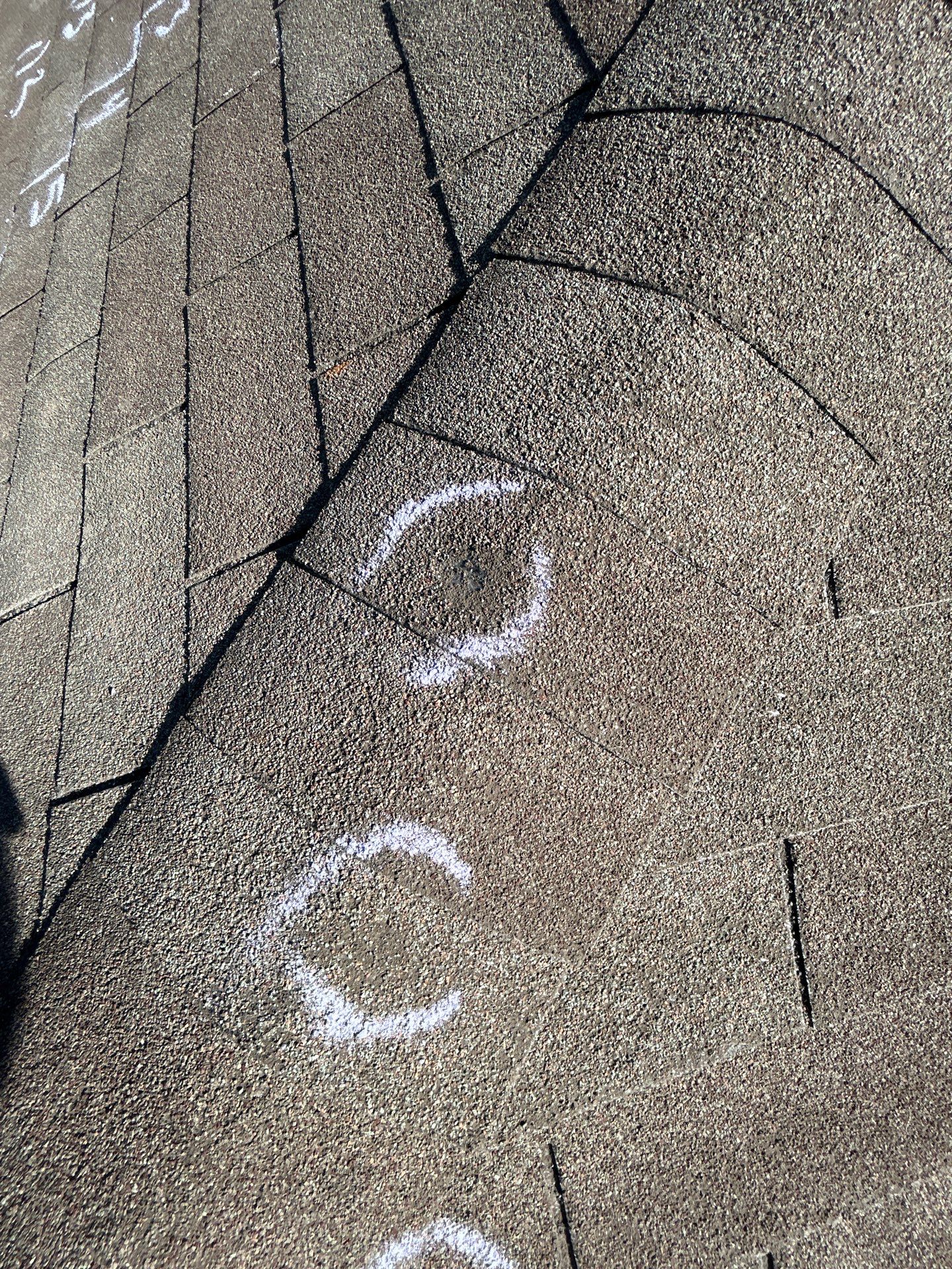 Miss Bridgette by REPS OF TEXAS