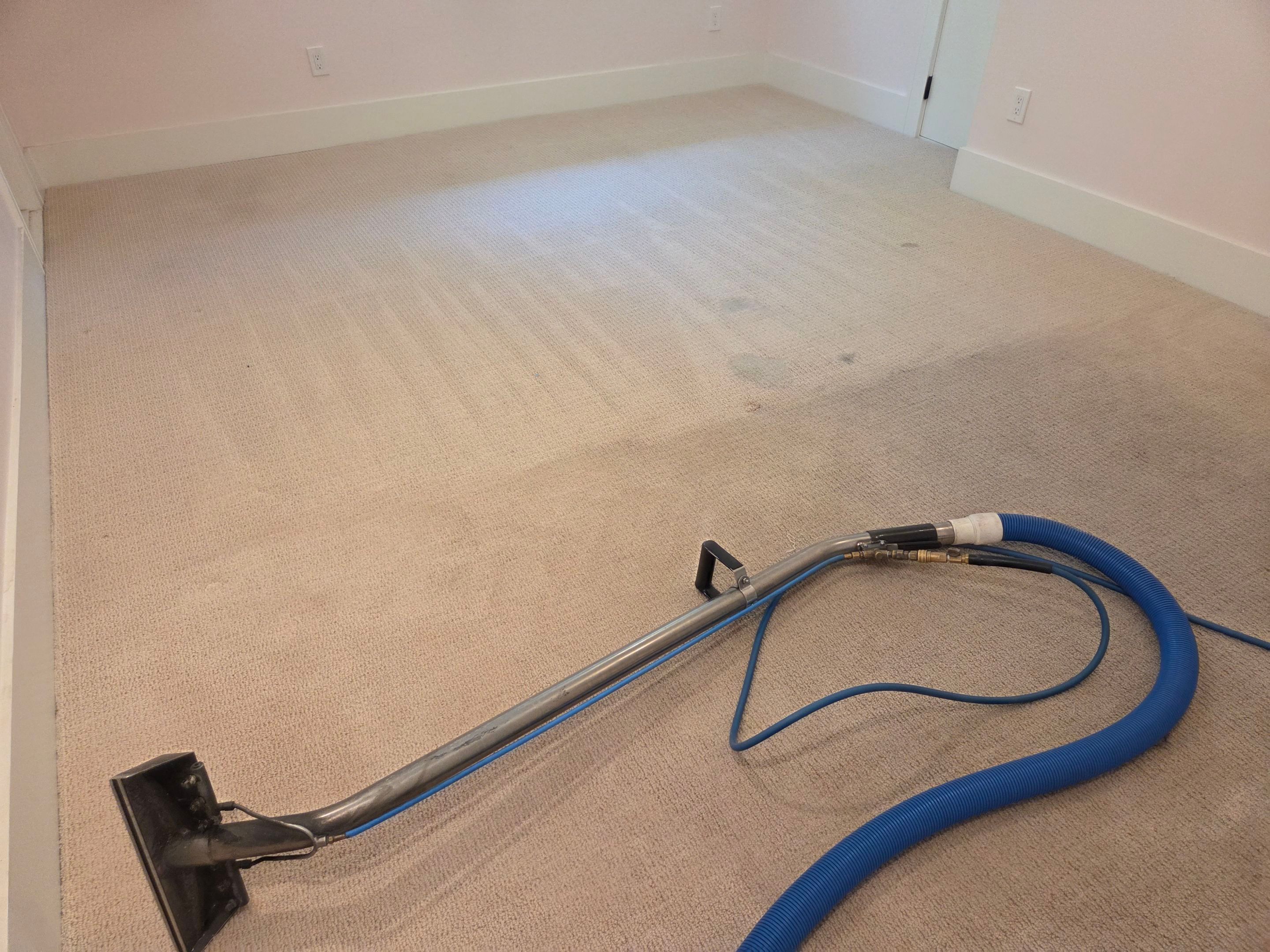 Heavy Carpet Clean with Imperfections by Ardent Carpet Restore LLC