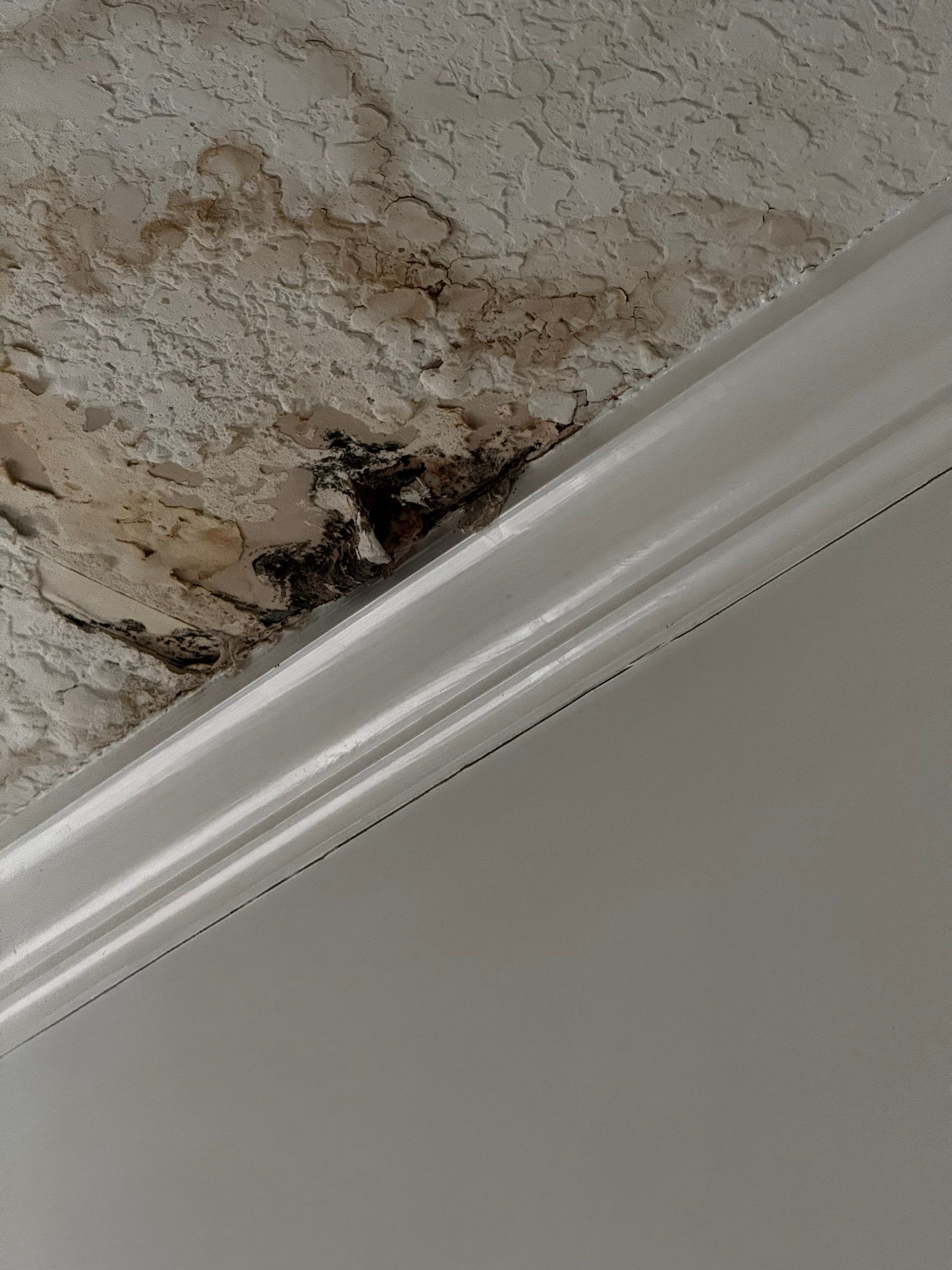 Project in Hinesville by Serene Construction