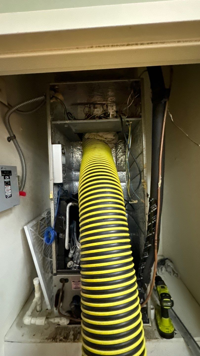 Commercial Air Duct Cleaning in Tavares by Hygienic Air, Inc