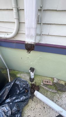 Gutter Cleaning & Underground Drain Cleaning in Montclair, NJ