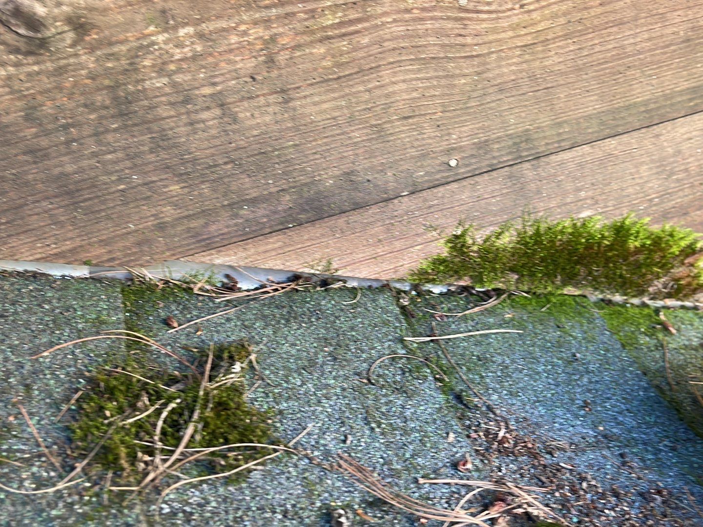  "Leak-Free Living: Expert Shingle Repairs for Lasting Protection!"  by Sensible Home Solutions