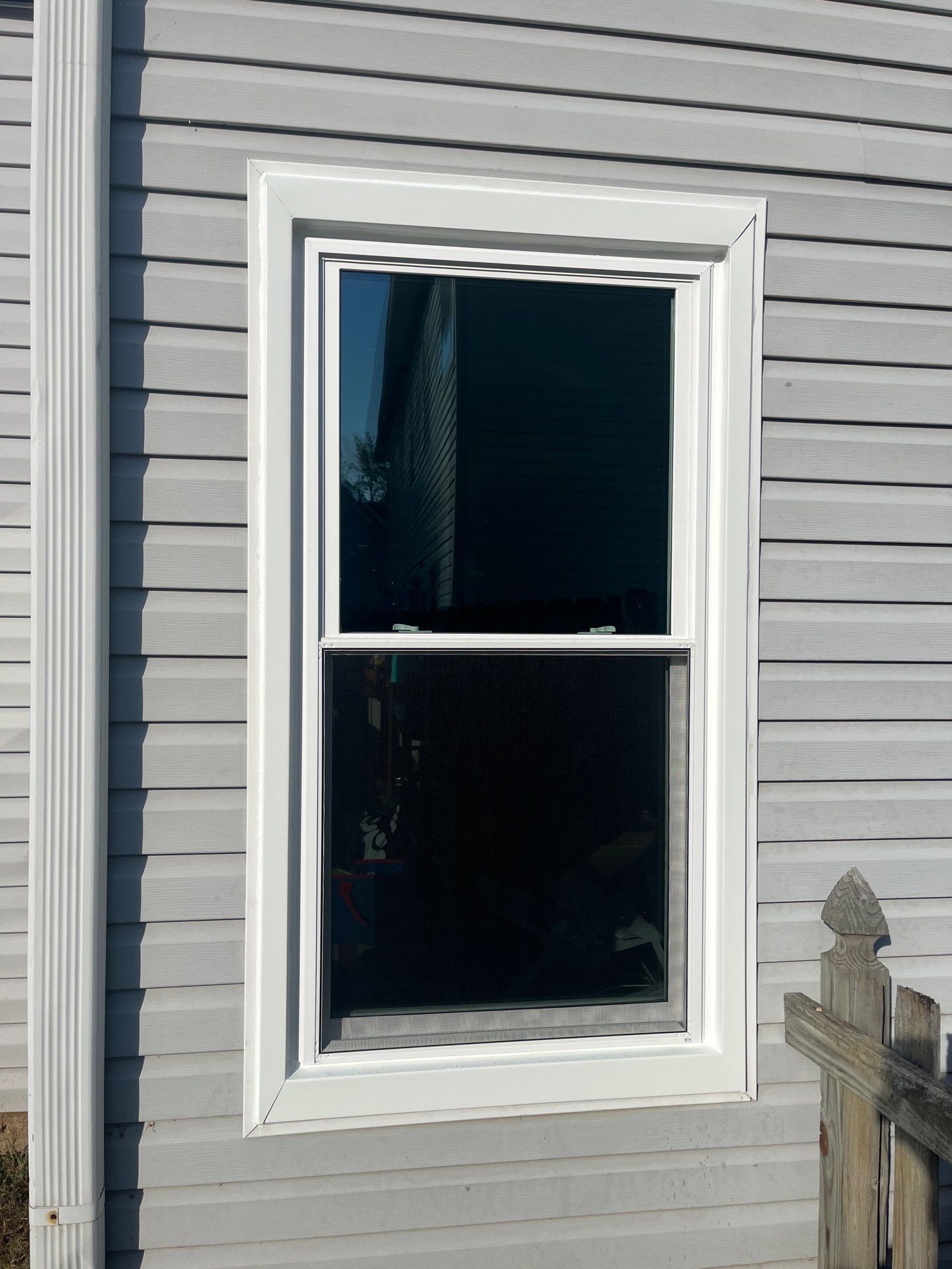 St Cyr Project in Helena by The Window Source