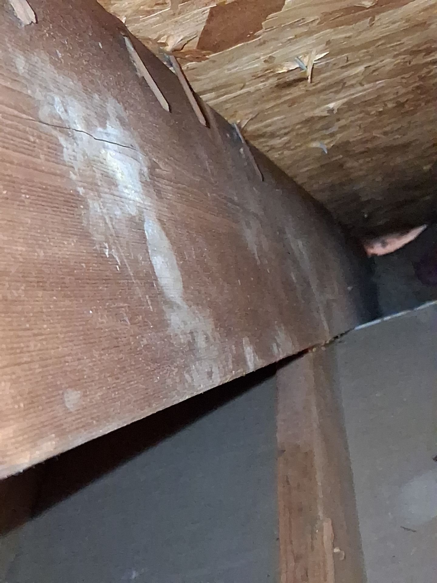 Attic Insulation and Repair by Toledo Basement Repair