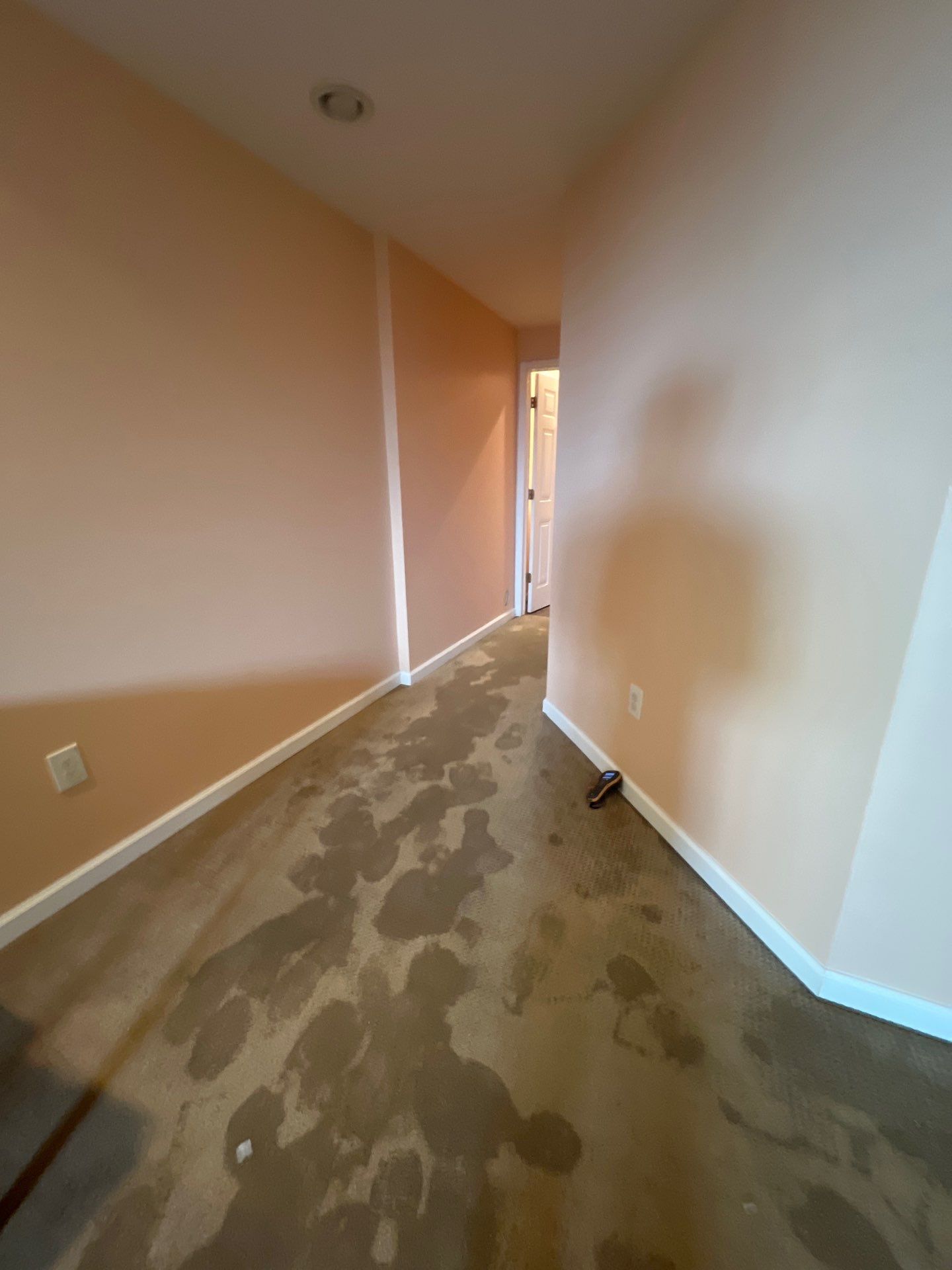 Project in Ann Arbor by EzDry Water Mitigation & Property Restoration