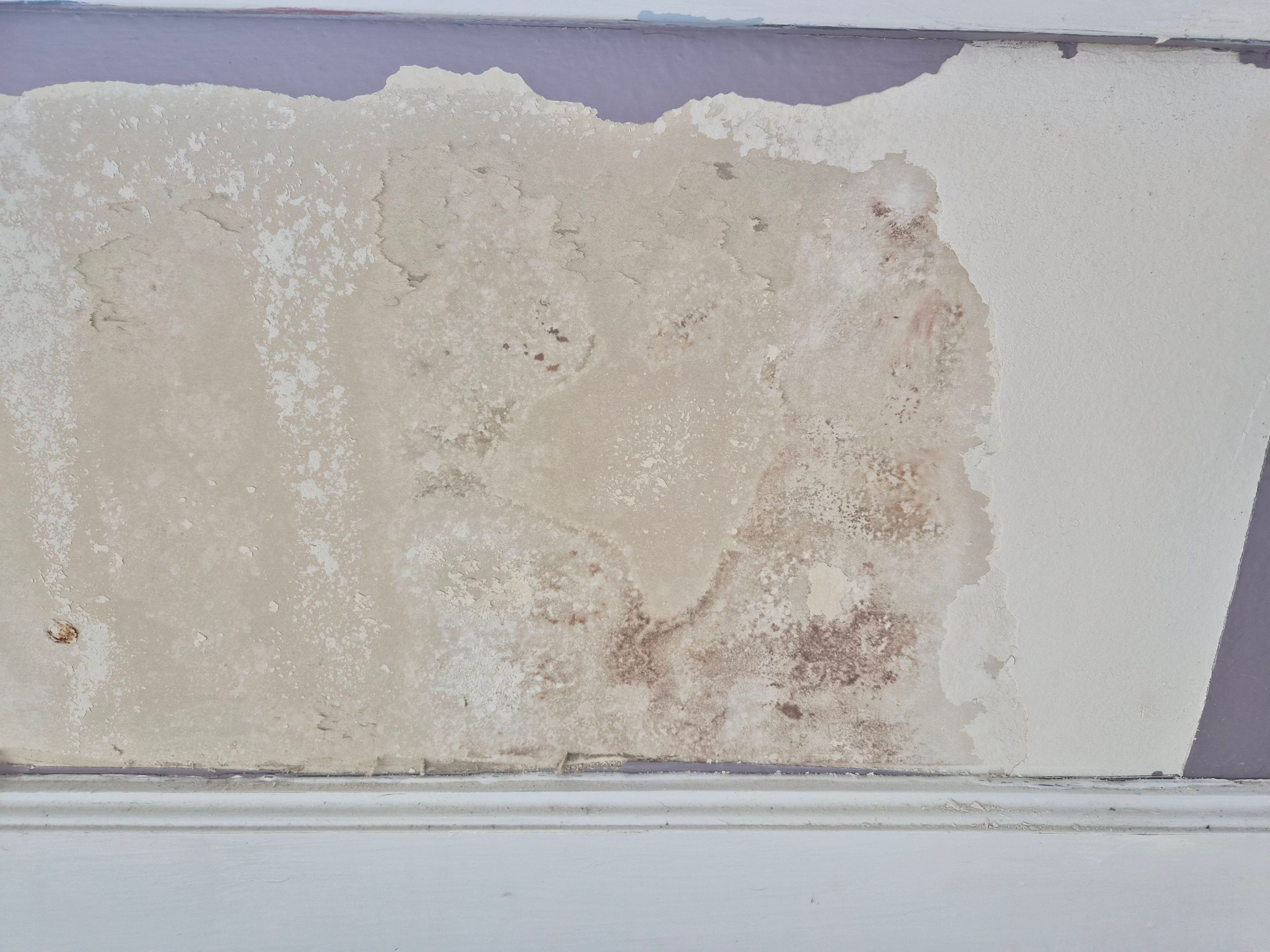 Extensive Interior Repair & Repaint in Tyler TX by Quality Coats Painting