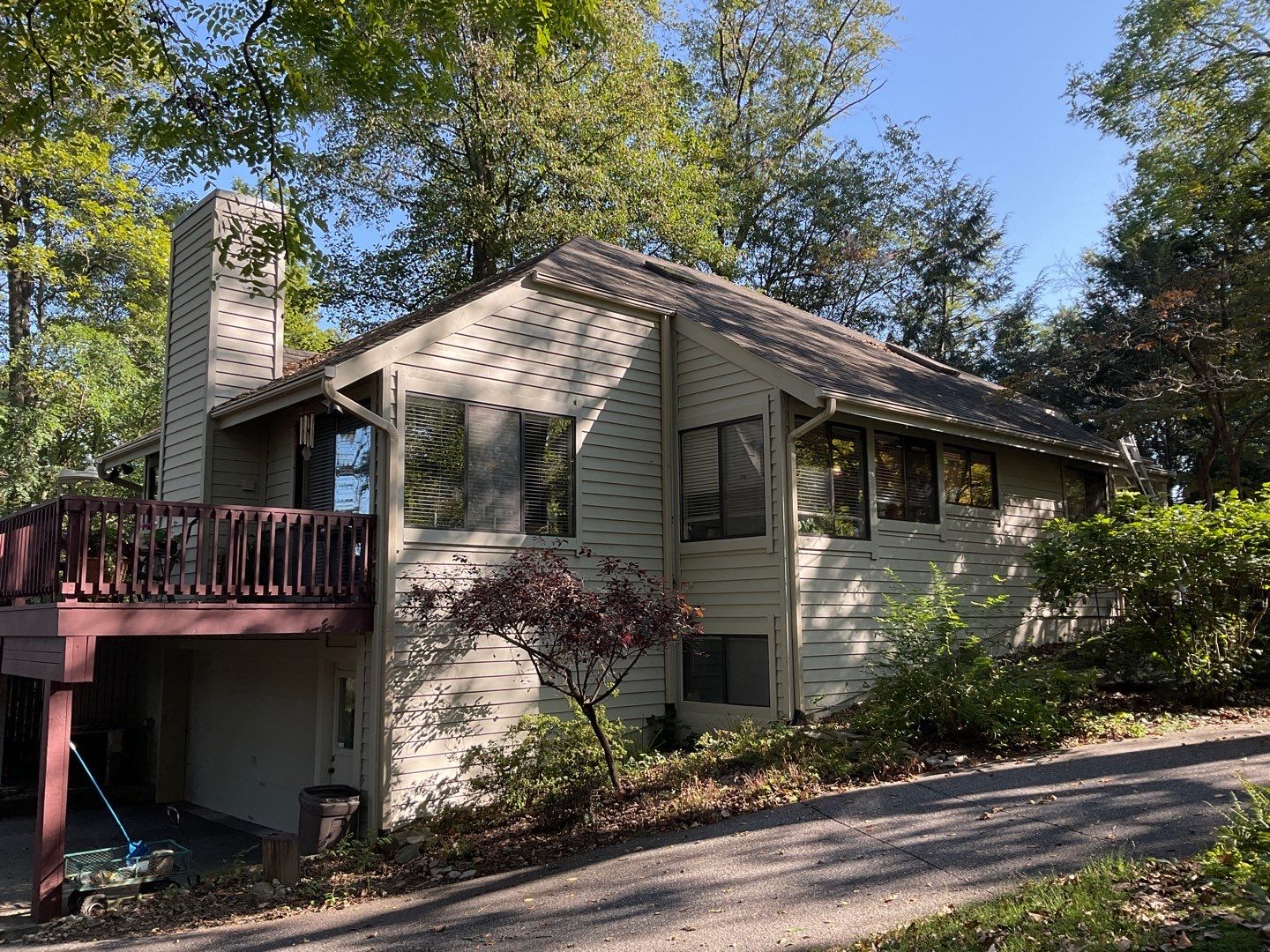 Install new shingles and new skylights  by Alpha Design Services