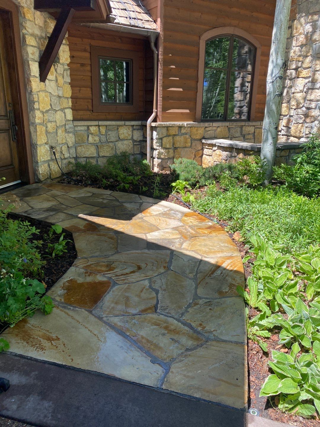 Project in Aspen by Roaring Fork Property Group