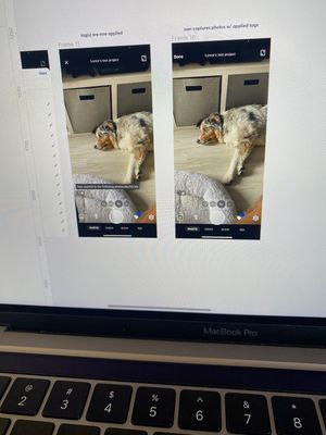 9922 using Test