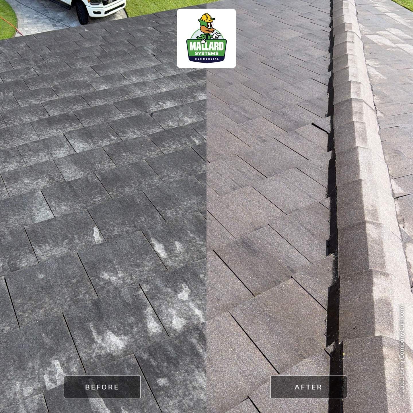 Residential Roof Cleaning in Winter Garden by Mallard Systems