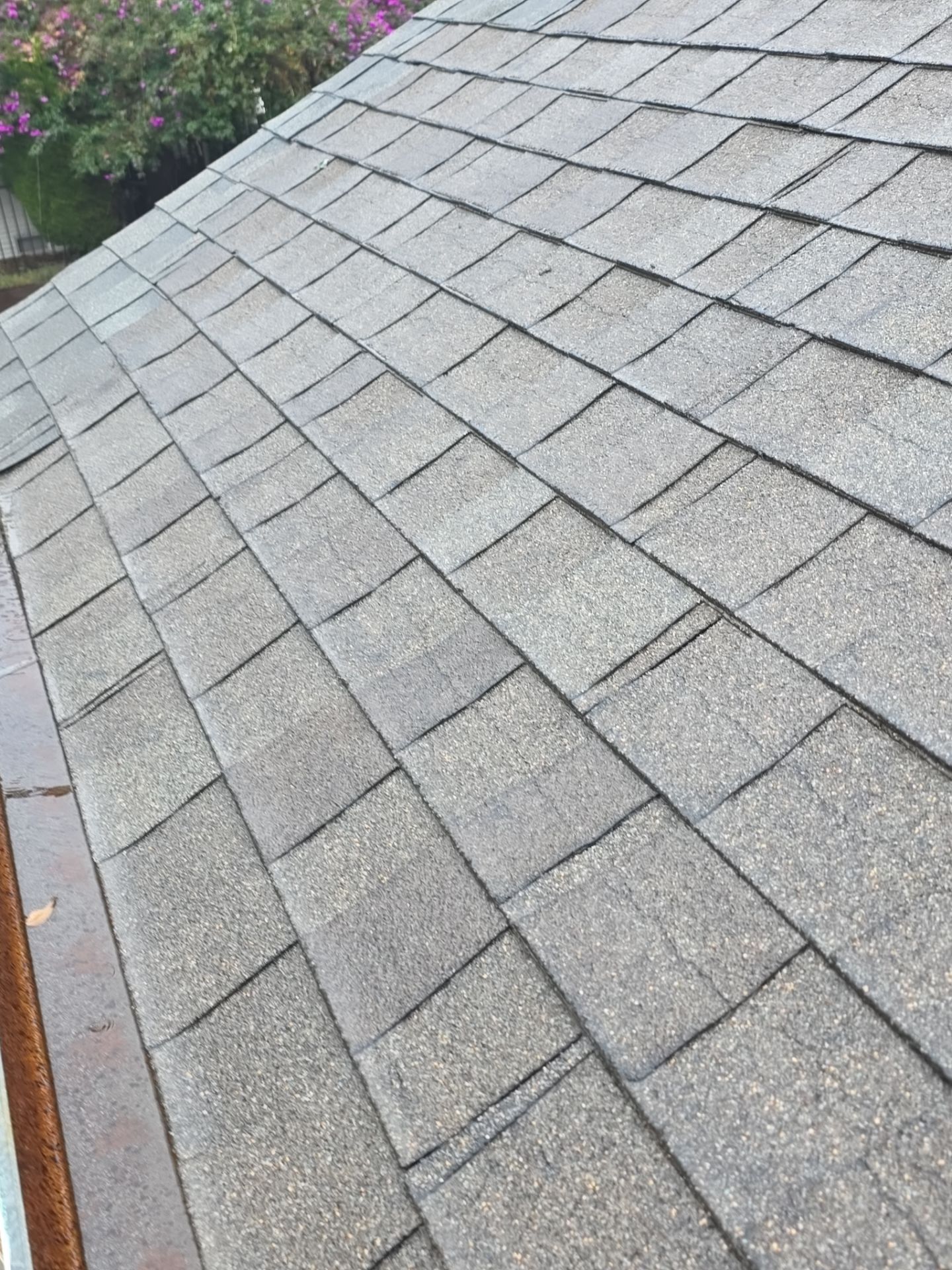 Roof Rejuvenation using Roof Maxx Treatment by Roof Maxx of Folsom