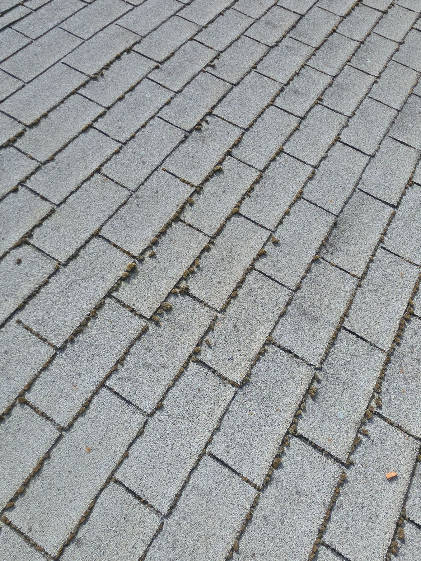 Roof Rejuvenation using Roof Maxx Treatment by Roof Maxx of Folsom