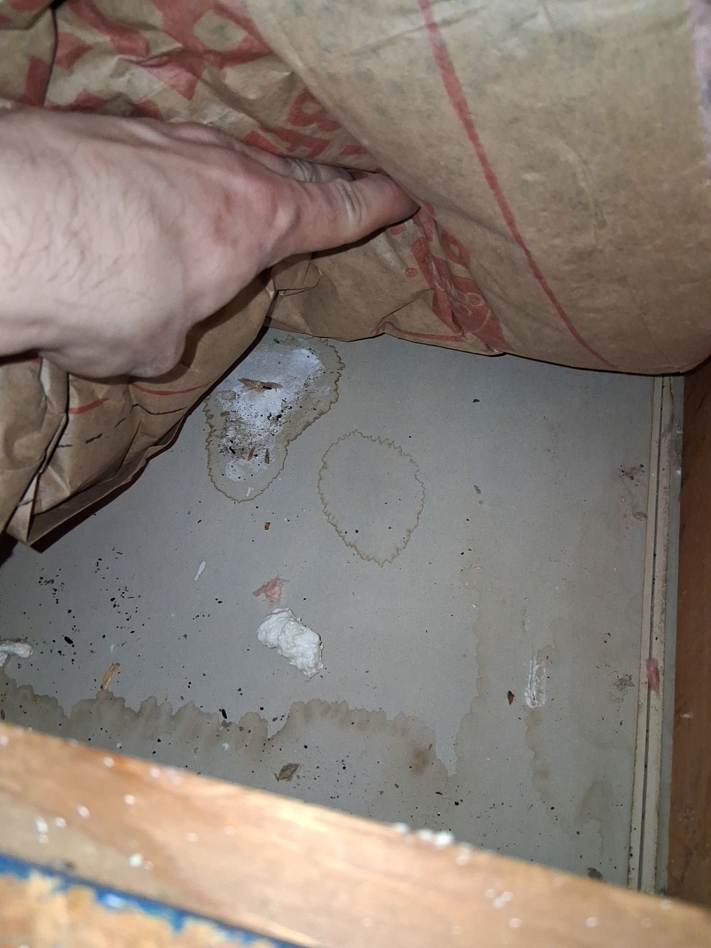 Attic Insulation and Repair by Toledo Basement Repair