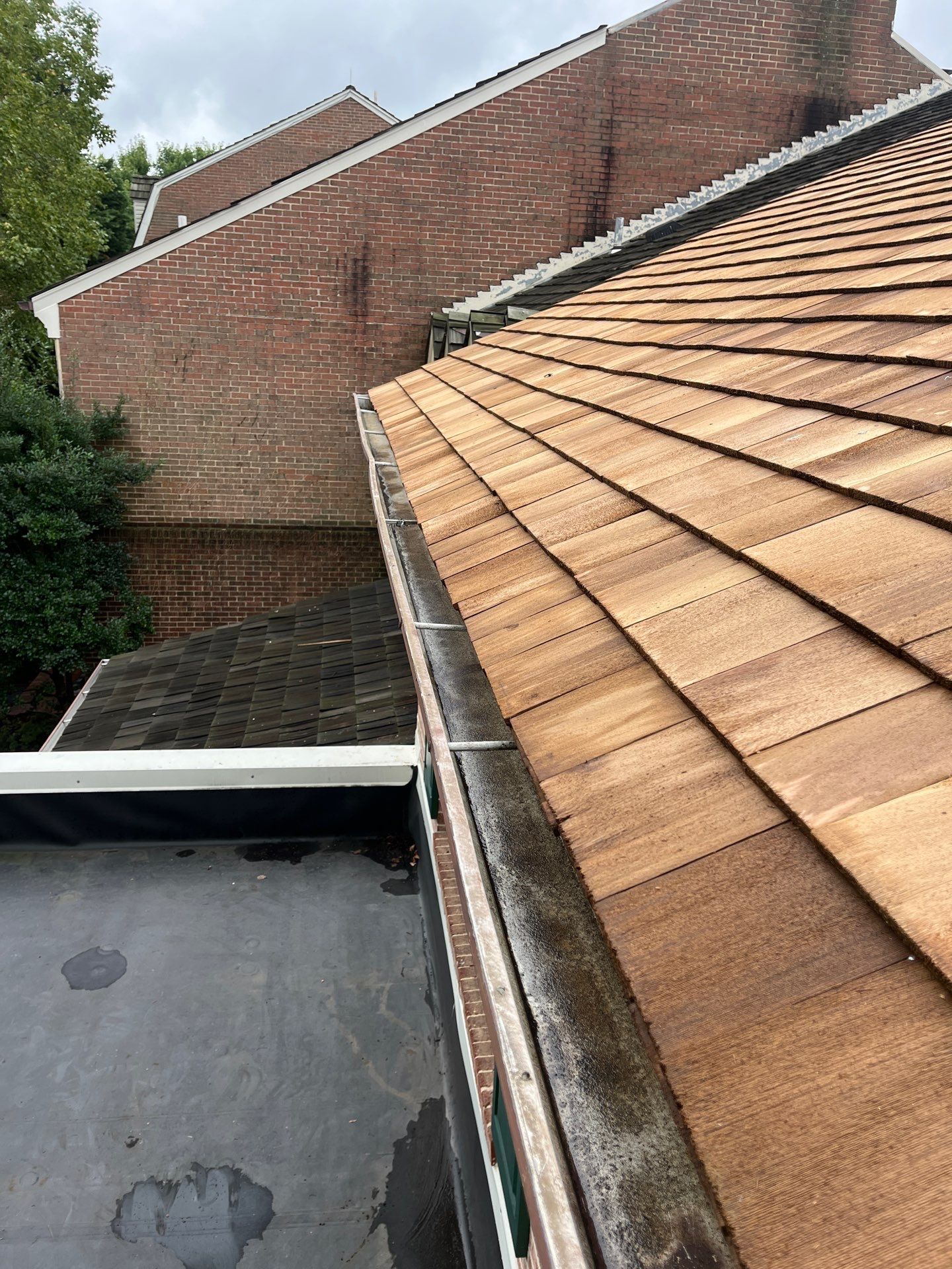 Arlington: Residential Roof Replacement with Perfection CCA-Treated Cedar Shakes by RM Banning, Inc.