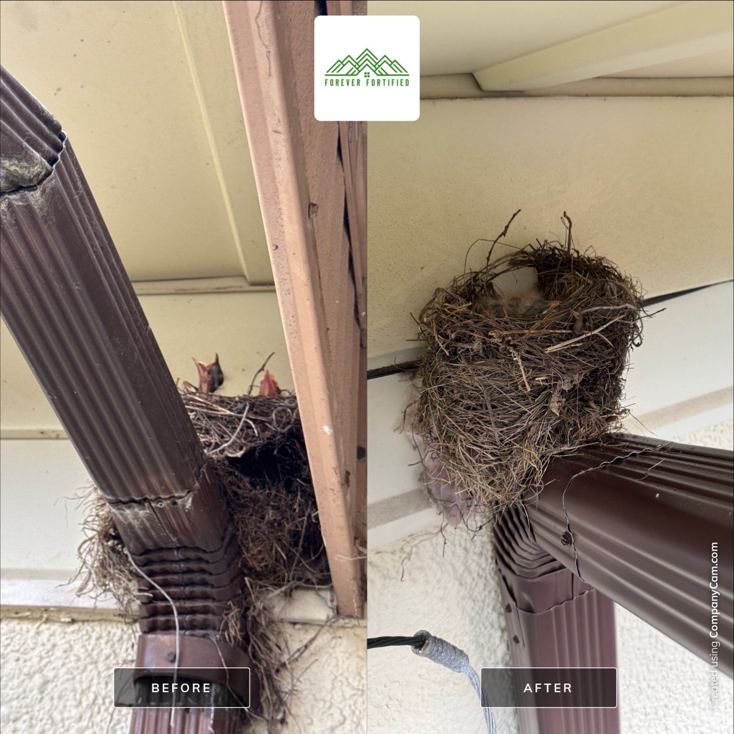 Class 3 Roof in Saint Paul by Forever Fortified