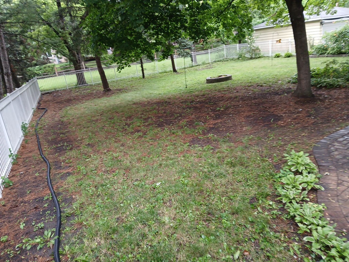 Steven L. - Park Ridge, IL by A&N
