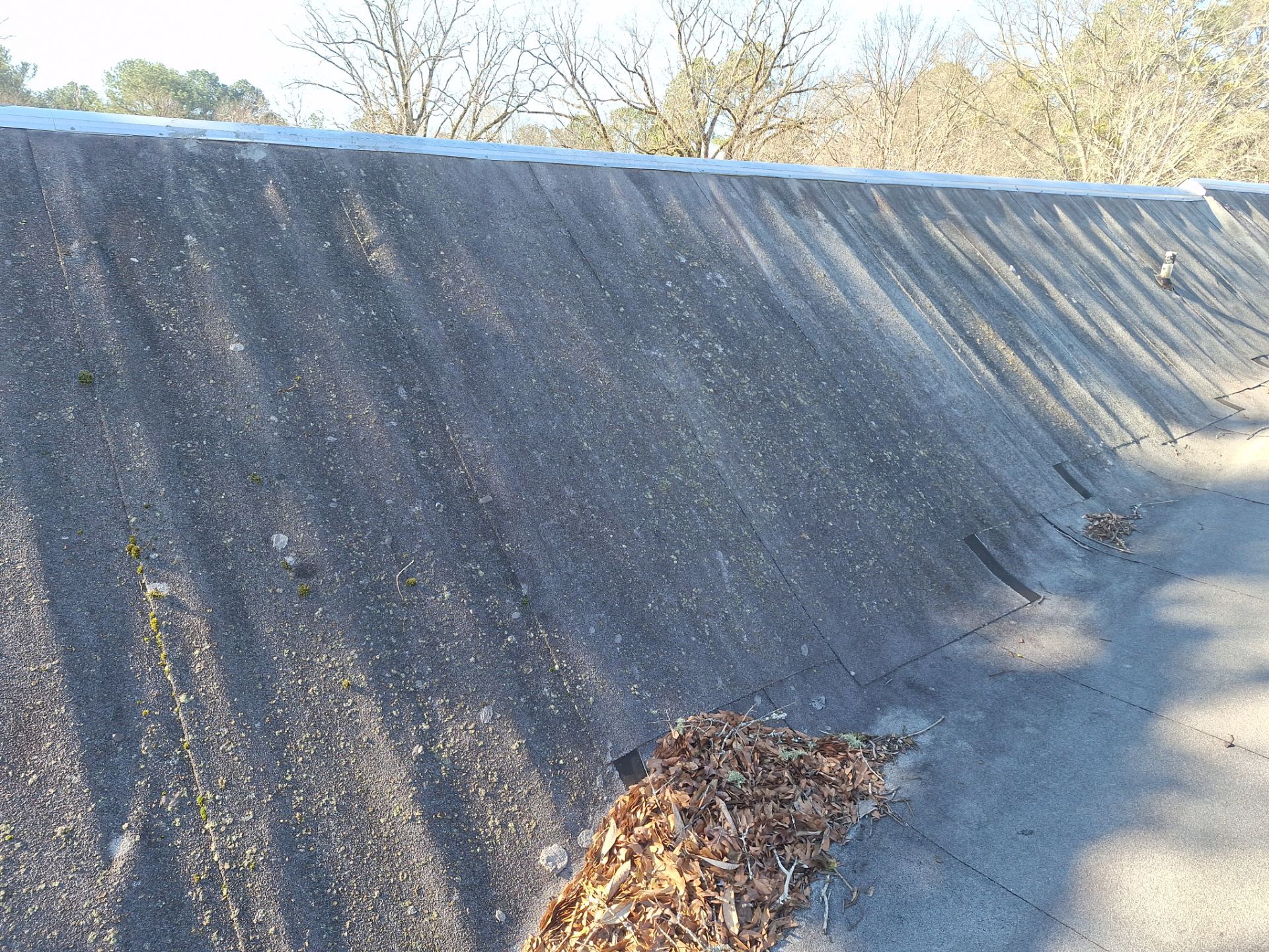 Residential Roofing Sealant  by iGreen Solutions