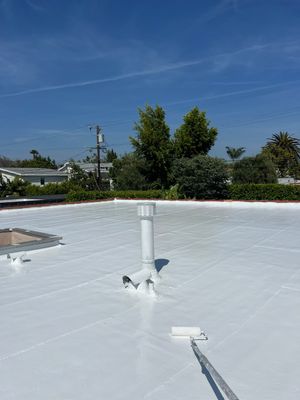 Tile Reset & Silicone Coating using American Standard Coatings Silicone-S