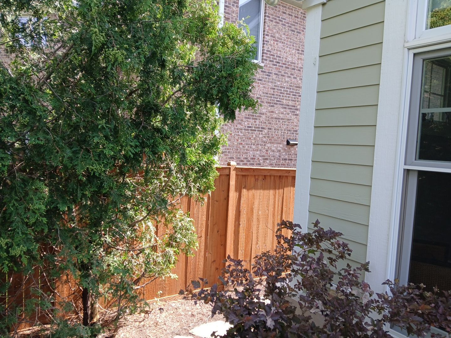 Lisa C. - Arlington Heights, IL by A&N