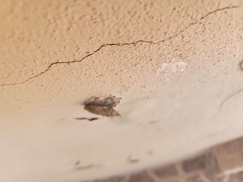 Significant Stucco Damage and Repair by Regal Renovate