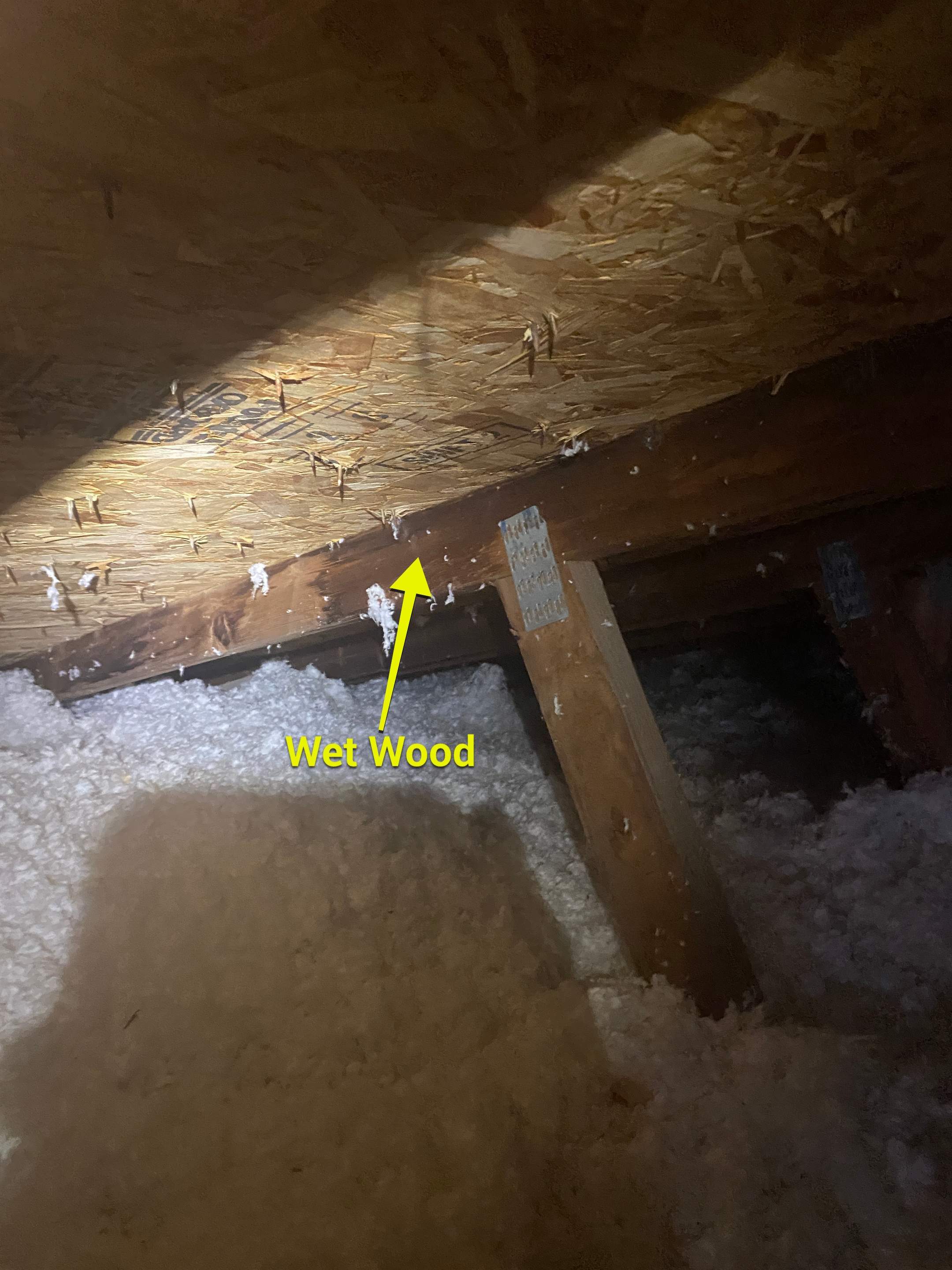Interior Inspection by ASAP Roofing & Restoration