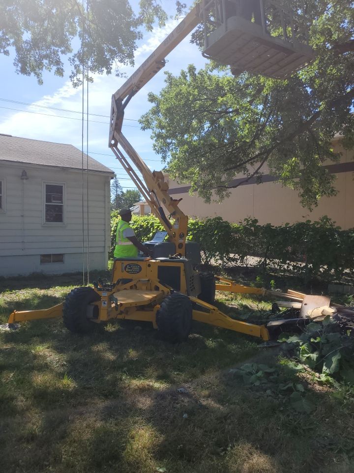 Tree Trimming using Tree Pruing by Mike Jones & Sons Tree Service LLC 