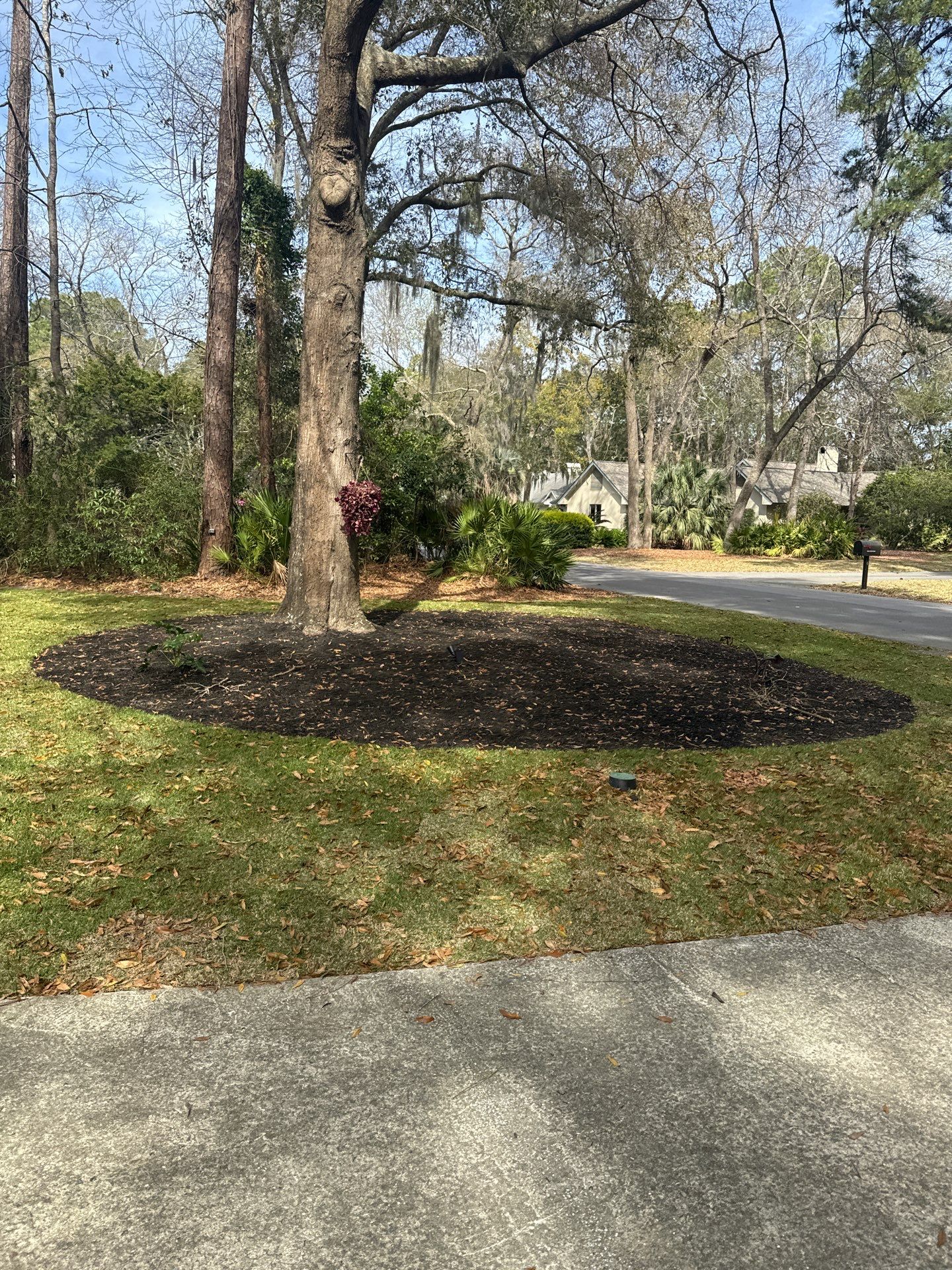 Hilton Head Island Paver Patio and Full Landscape Installation by Lowcountry Scapes, LLC