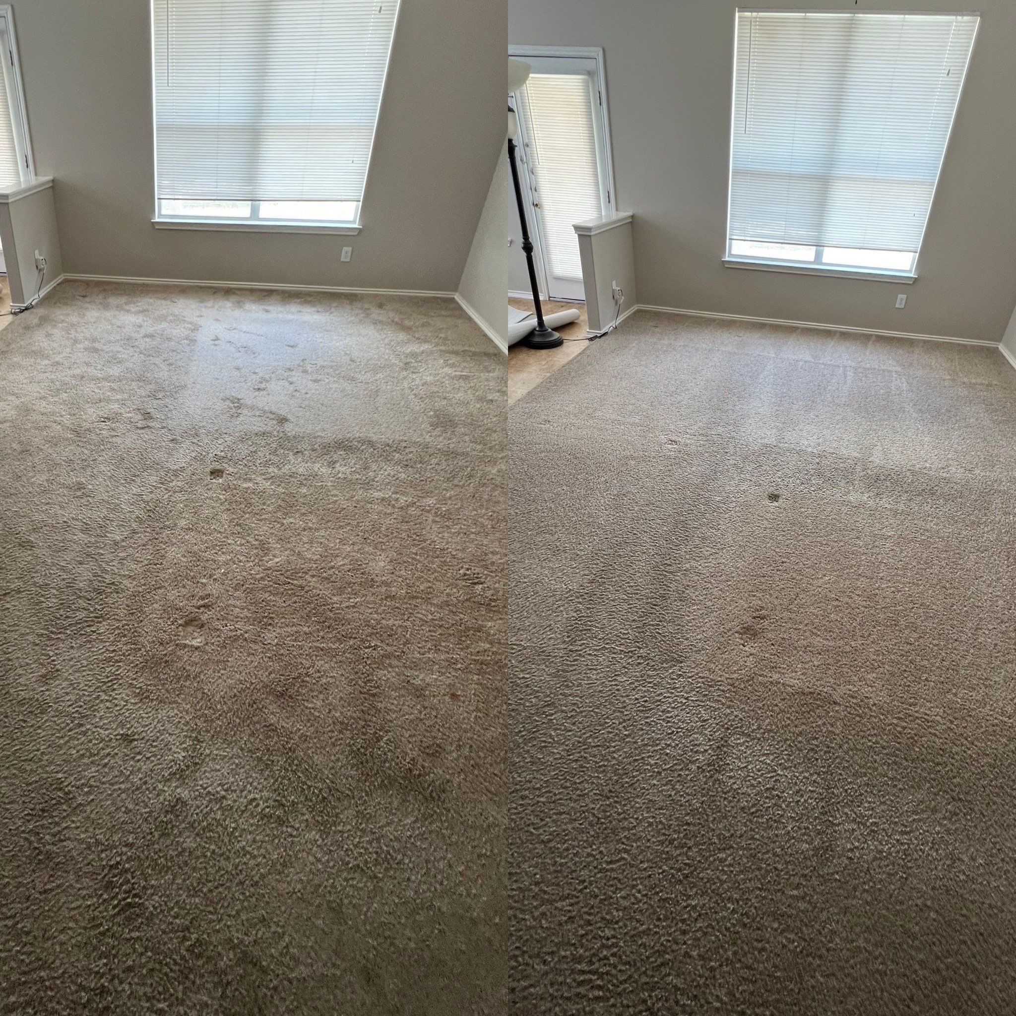 carpet cleaning service is removing dirt and stains from the carpet making it look fresh and revitalized