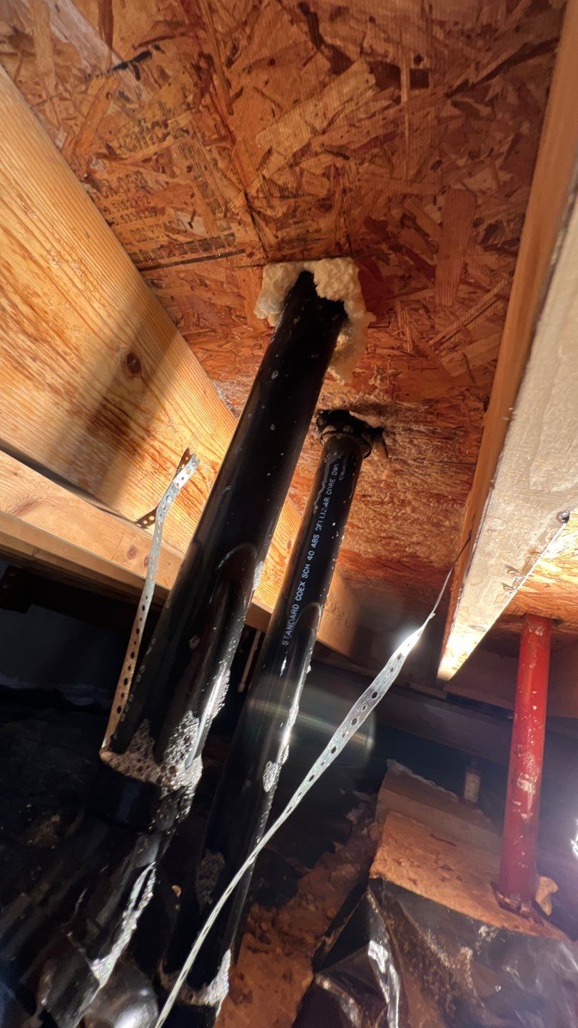 Mold Damage by Accountable Home Services