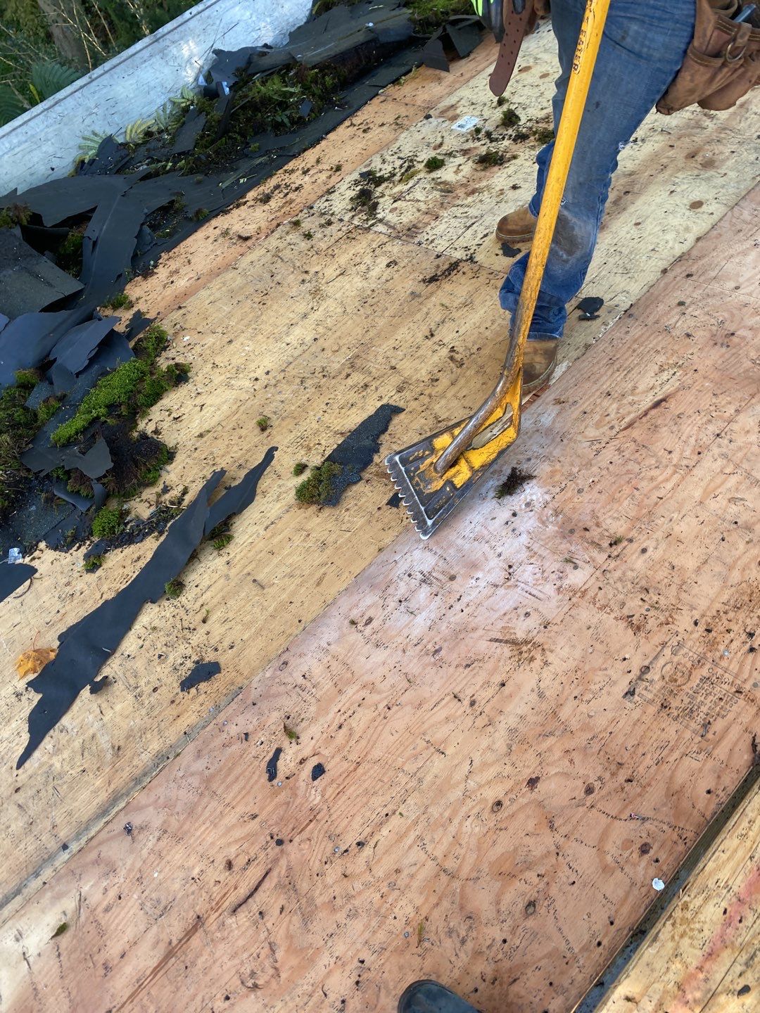 Residential Roofing Installation using Owens Corning TruDefinition by A Plus Exterior